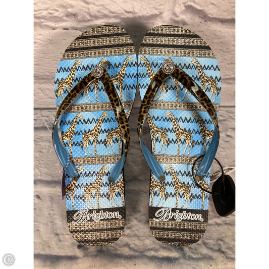 Sandals Flip Flops By Brighton In Multi-colored, Size: 7