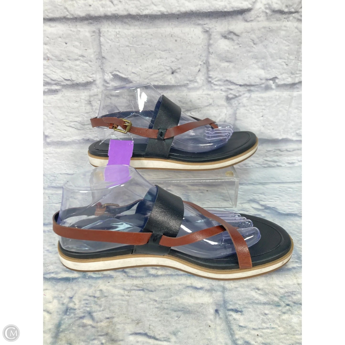 Sandals Flats By Cole-haan In Black & Brown, Size: 9