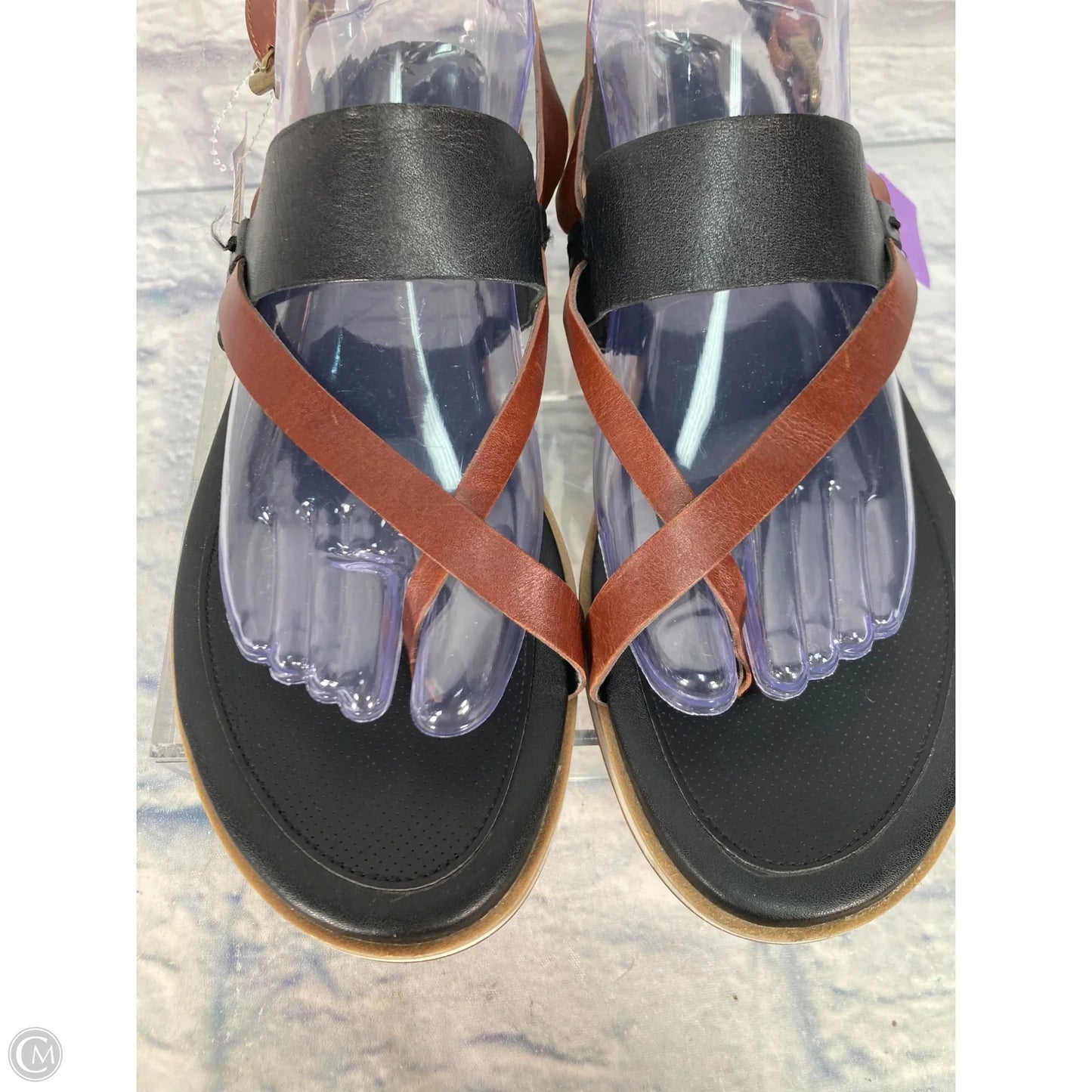 Sandals Flats By Cole-haan In Black & Brown, Size: 9