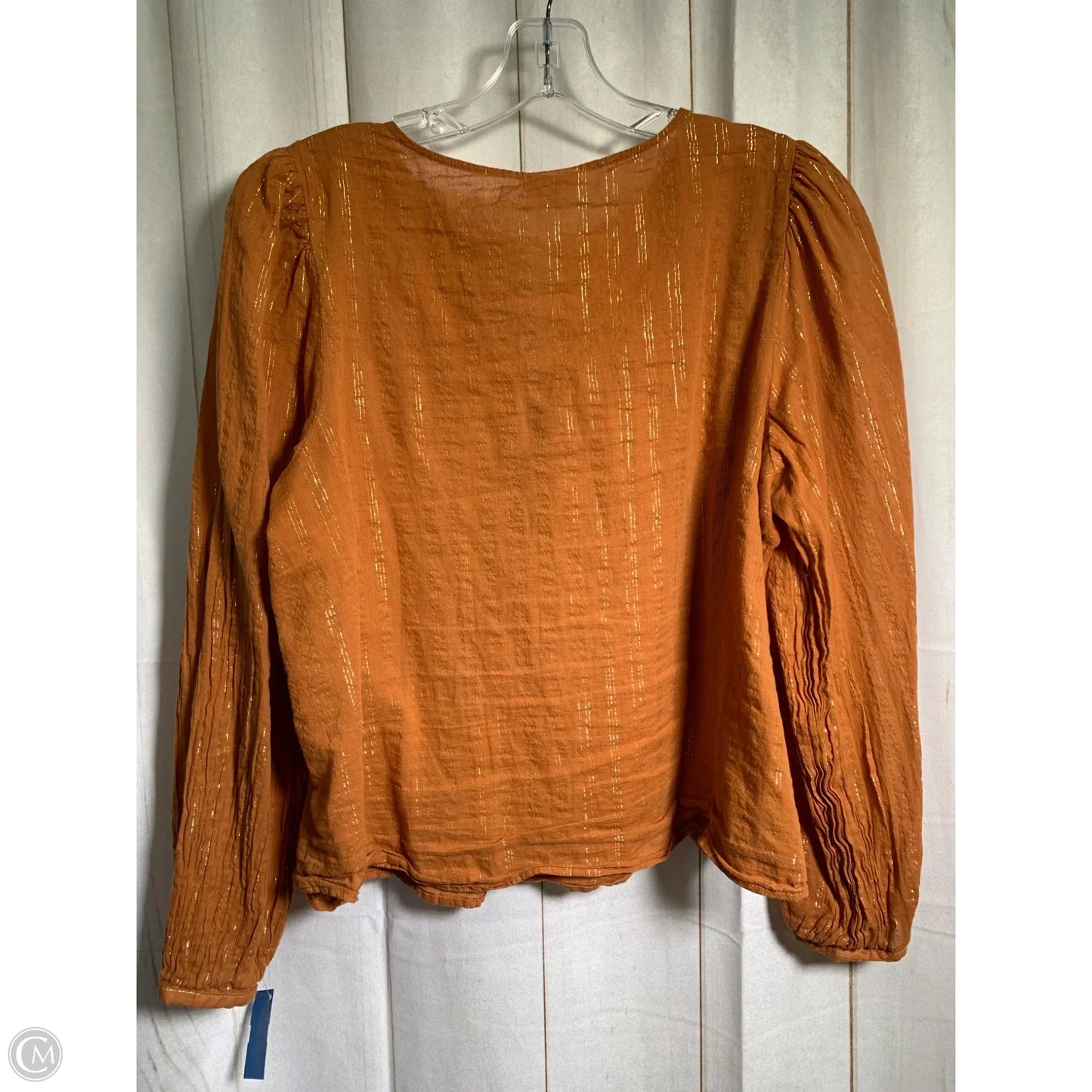Blouse Long Sleeve By Ana In Brown, Size: L