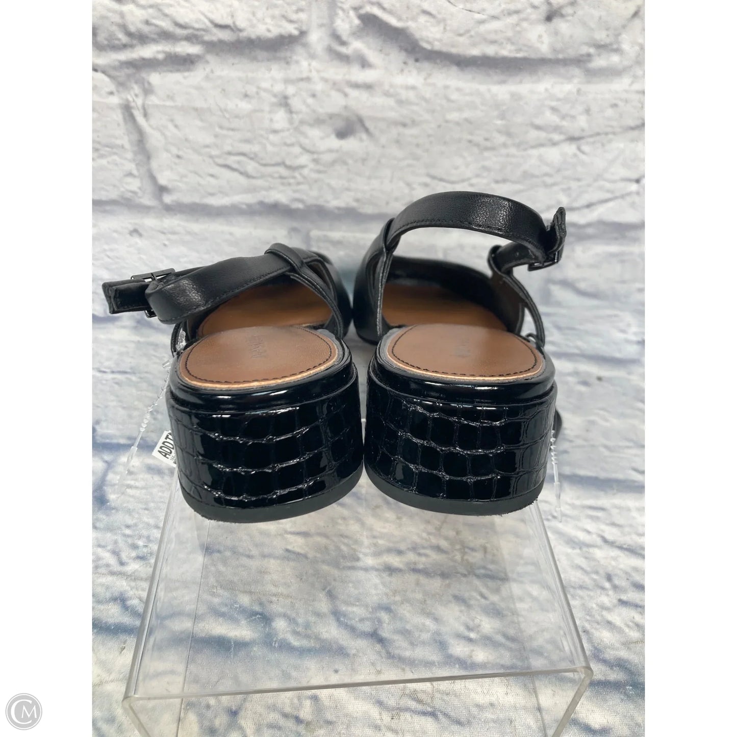 Shoes Flats By Donald Pliner In Black, Size: 8.5