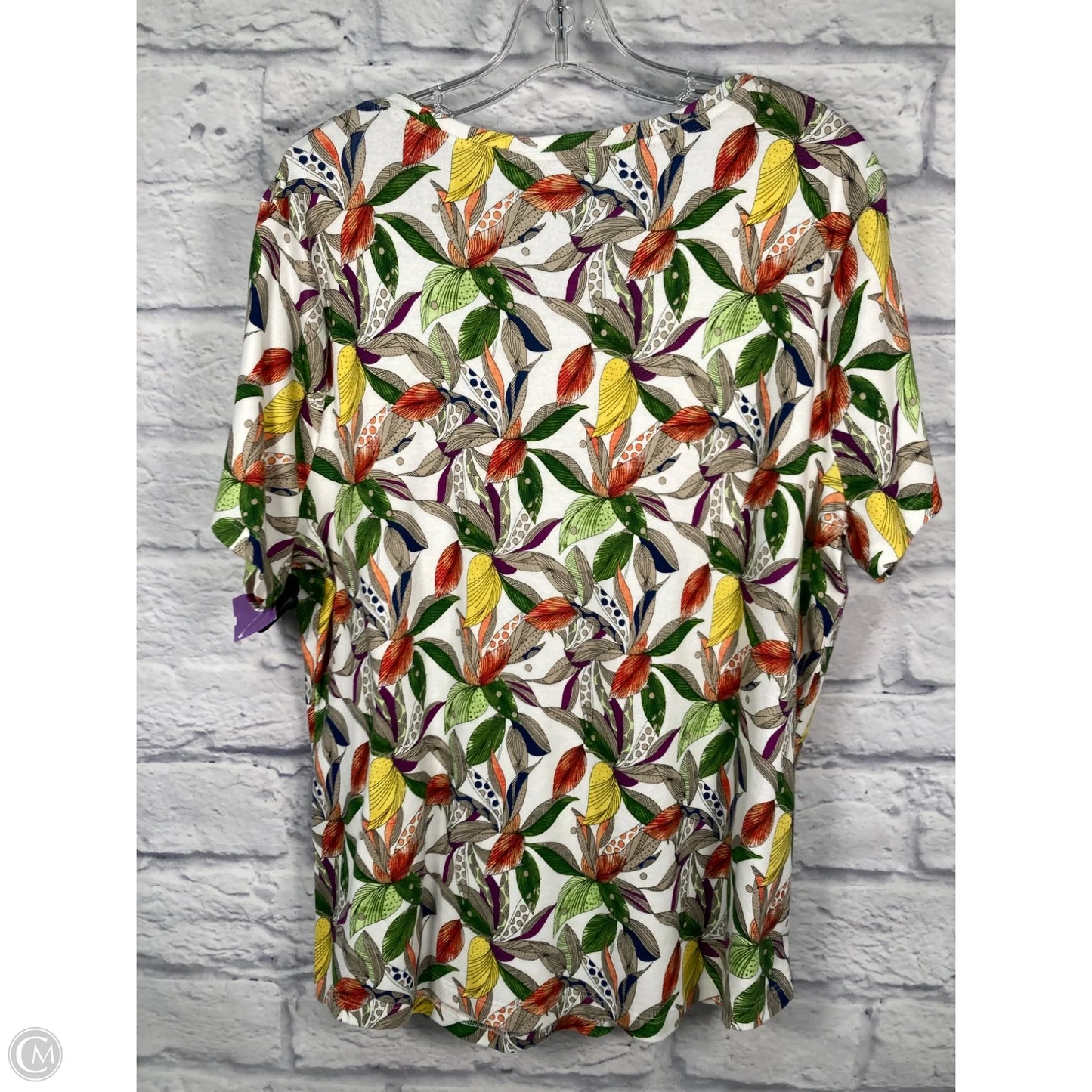 Top Short Sleeve By Chicos In Green & White, Size: Xl