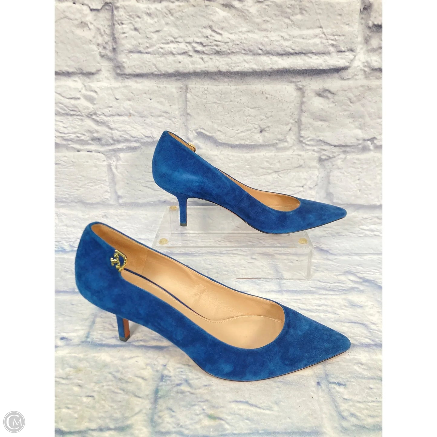 Shoes Designer By Tory Burch In Blue, Size: 9.5