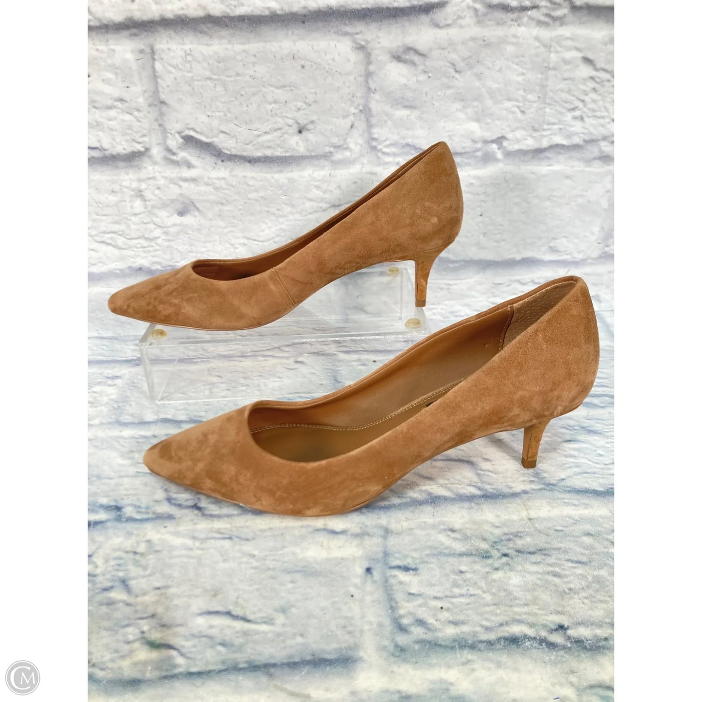 Shoes Heels Kitten By Steve Madden In Brown, Size: 8