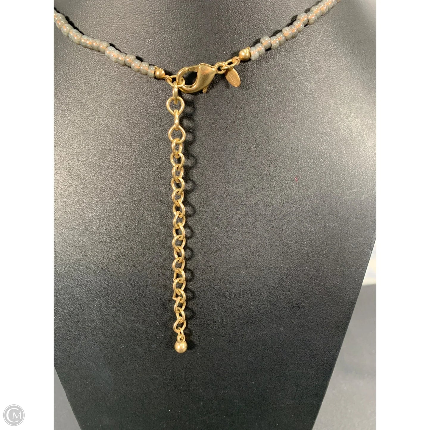 Necklace Lariat & Y-drop By Chicos