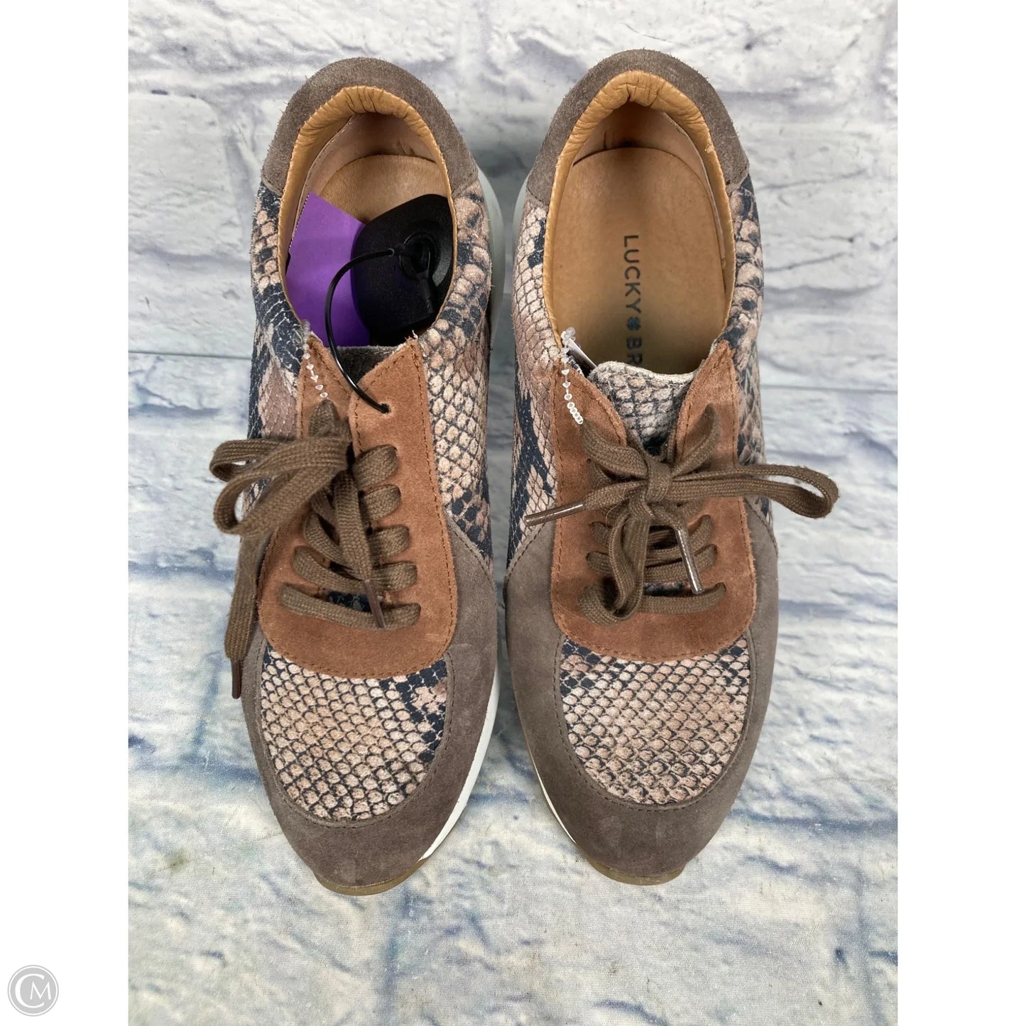 Shoes Sneakers By Lucky Brand In Brown, Size: 8