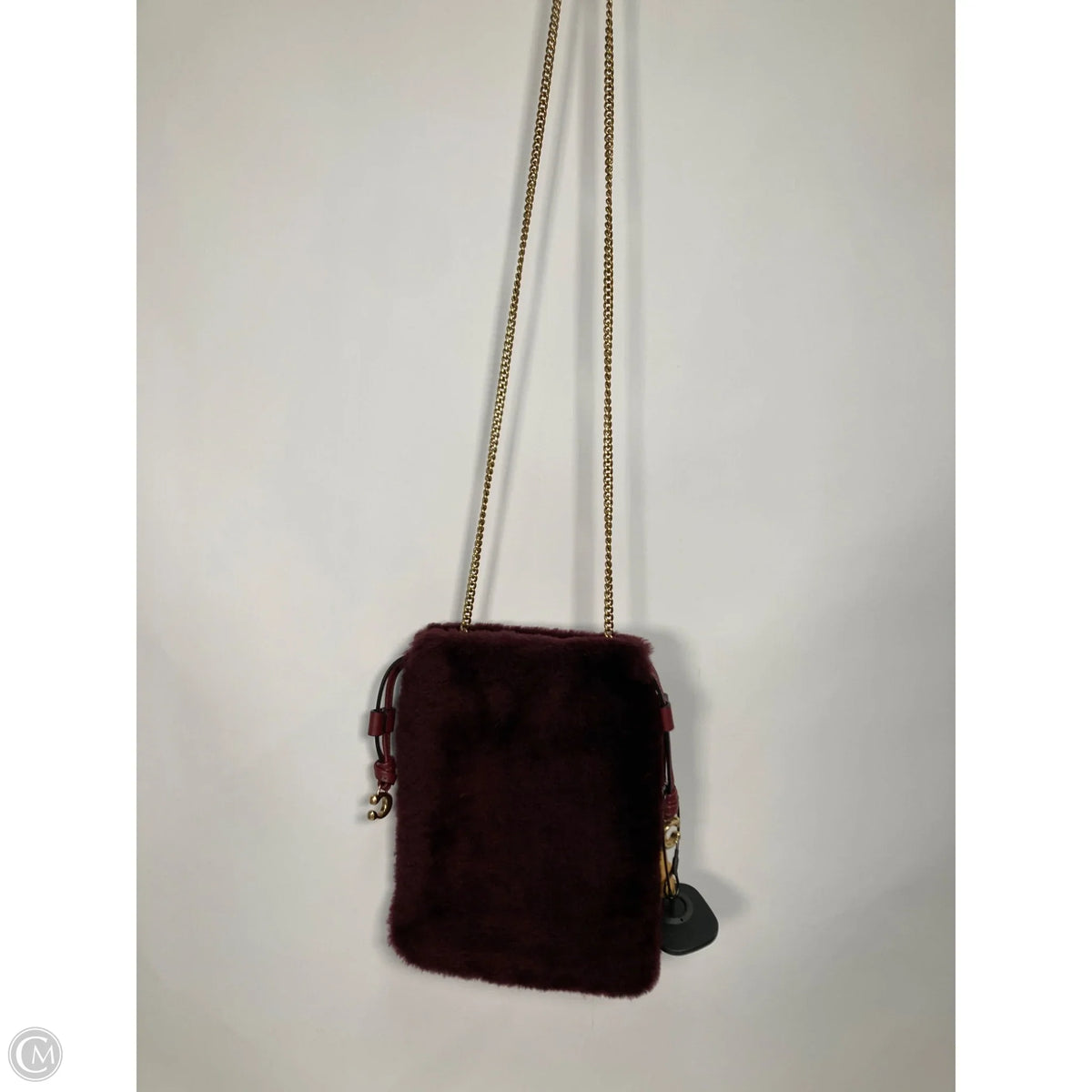 Crossbody Designer By Coach, Size: Small