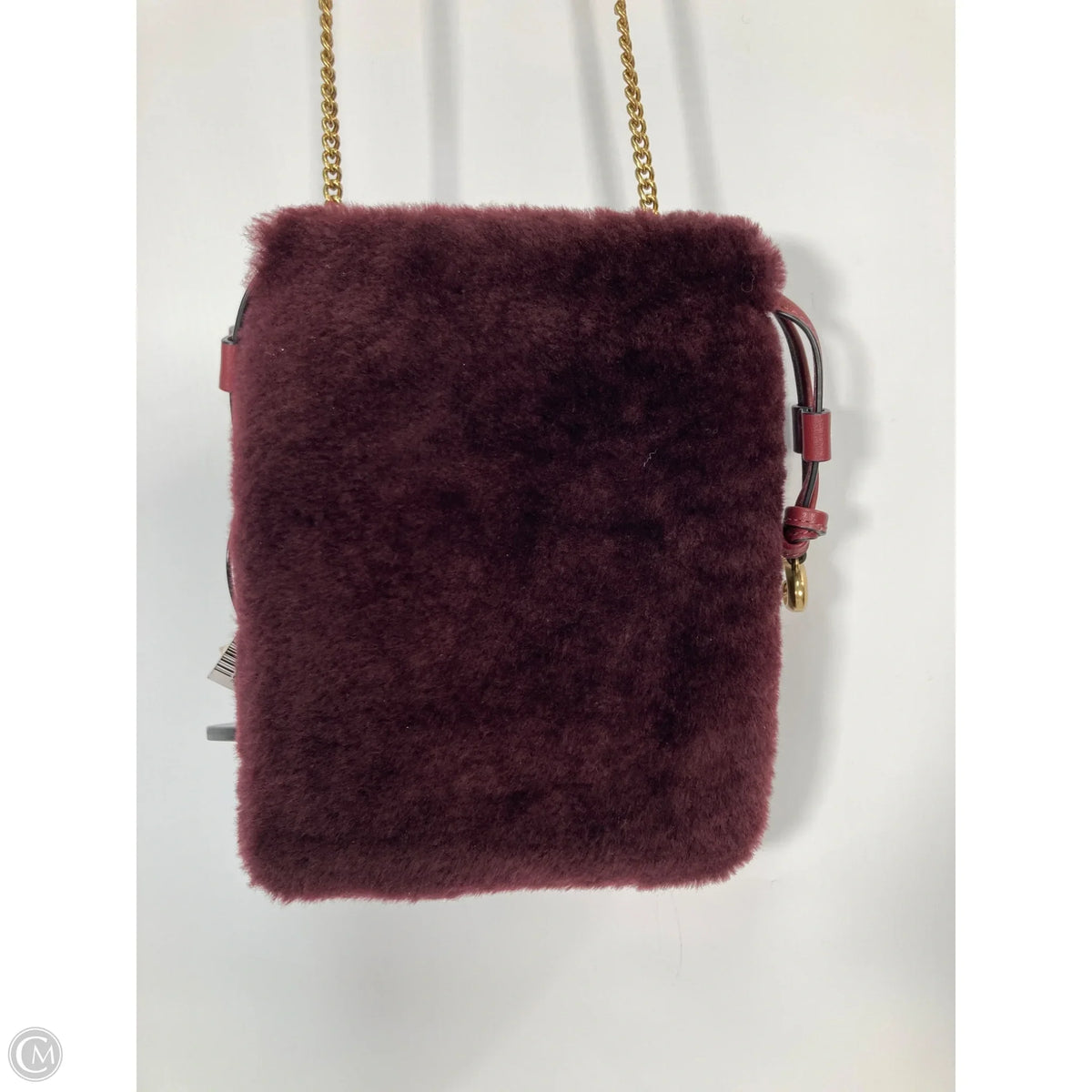 Crossbody Designer By Coach, Size: Small