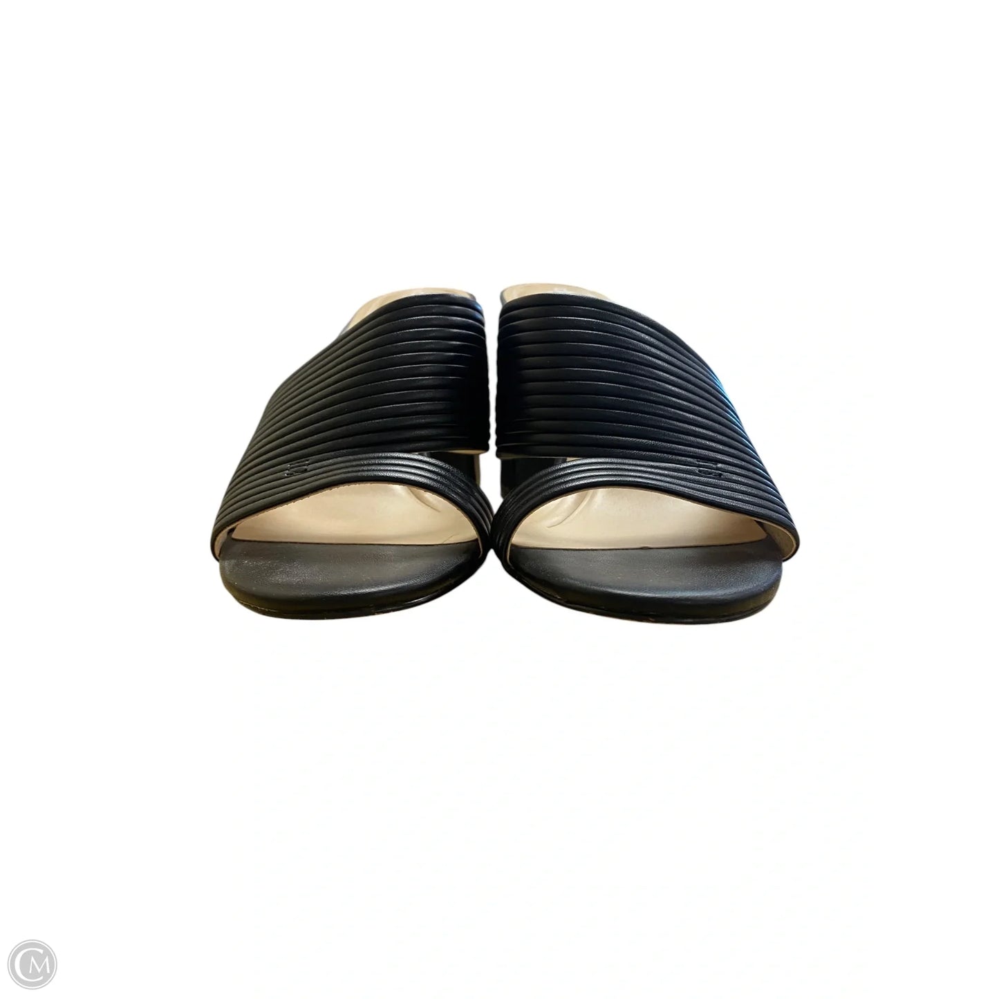 Shoes Heels Block By Charles By Charles David In Black, Size: 7