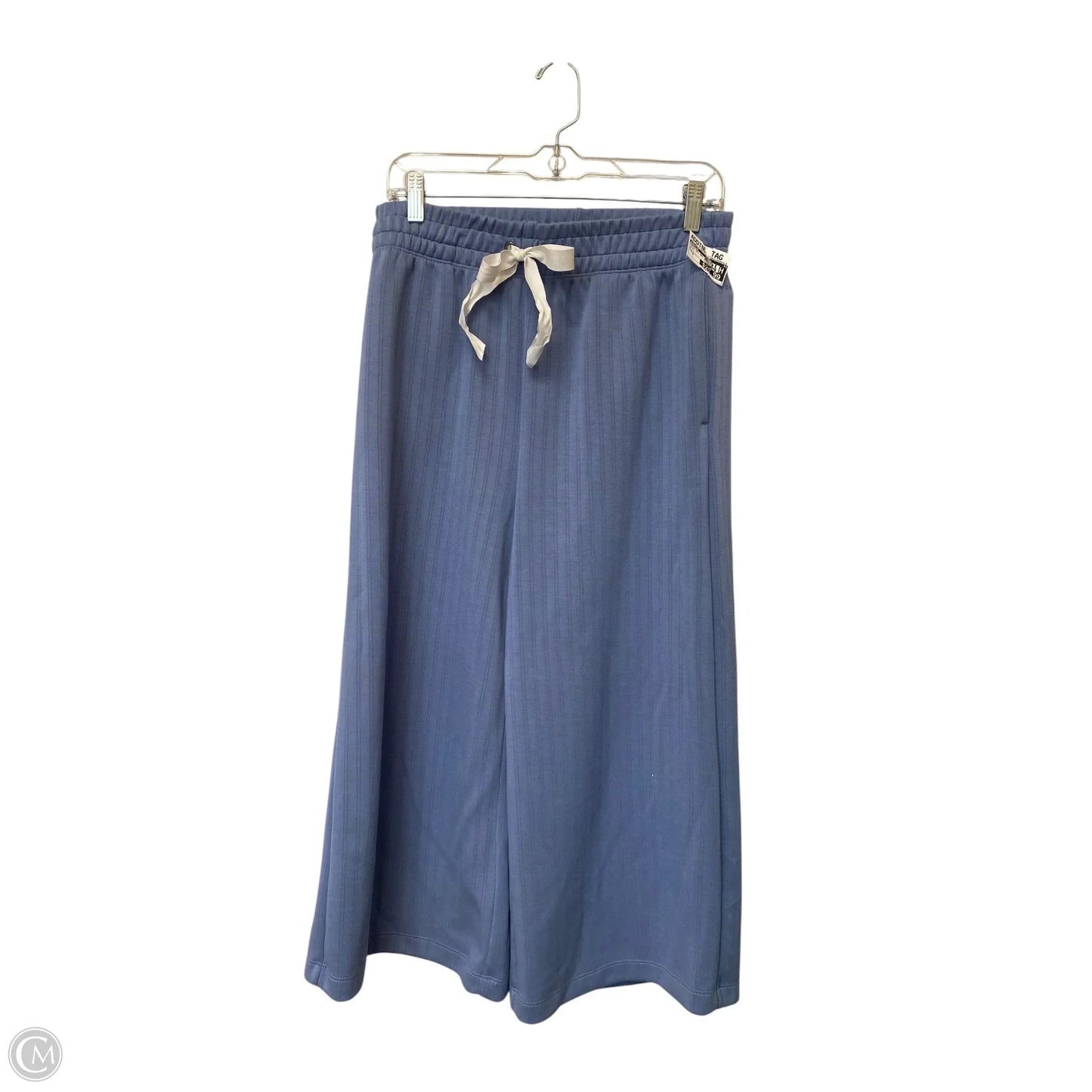 Pants Set 2pc By Danskin In Blue, Size: M