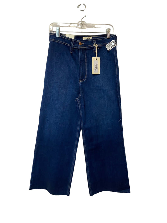 Blue Denim Jeans Straight Clothes Mentor, Size 30
