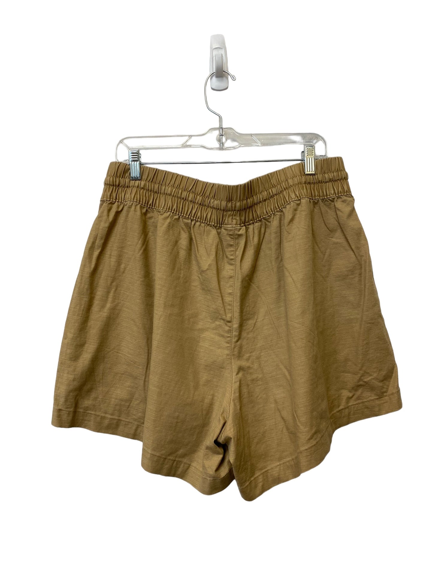 Brown Shorts Ava & Viv, Size Xl