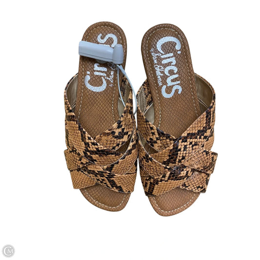 Sandals Flats By Circus By Sam Edelman In Snakeskin Print, Size: 5.5