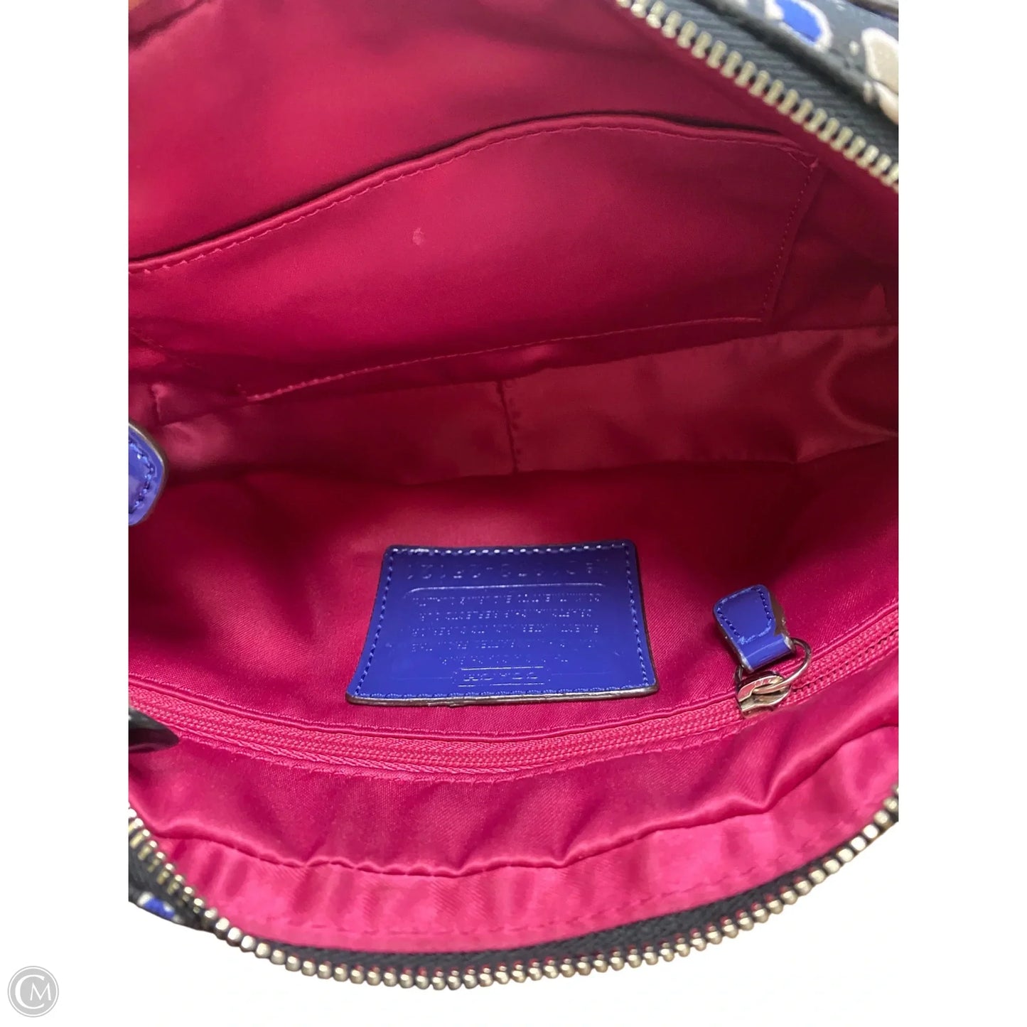 Crossbody Designer By Coach, Size: Small