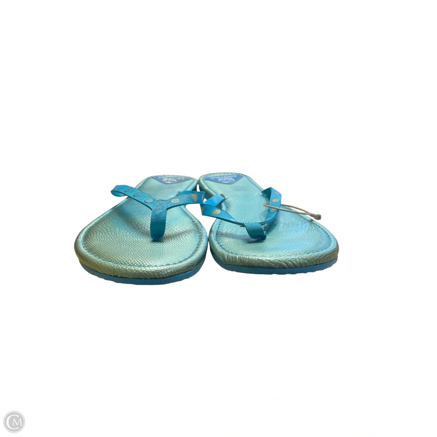 Sandals Flip Flops By Consuela In Blue, Size: 8