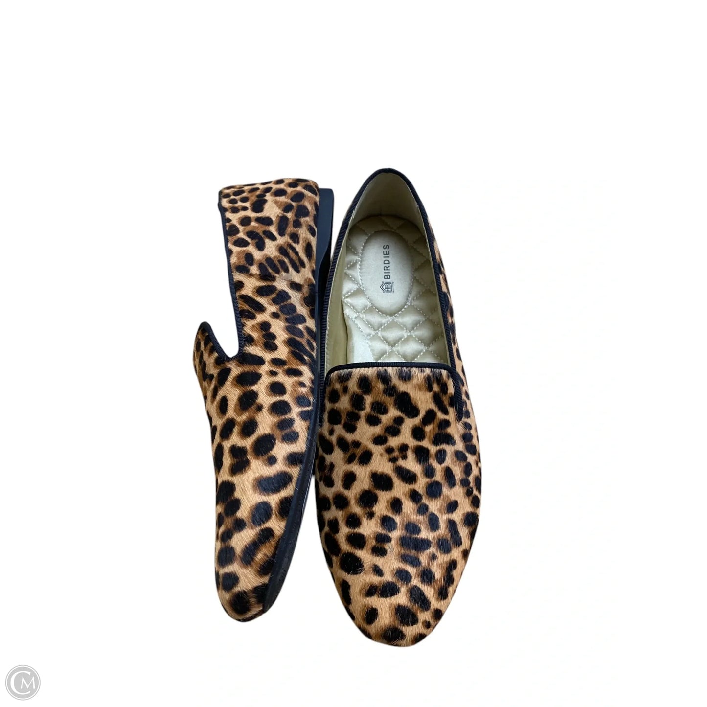Shoes Flats By Birdies In Animal Print, Size: 8