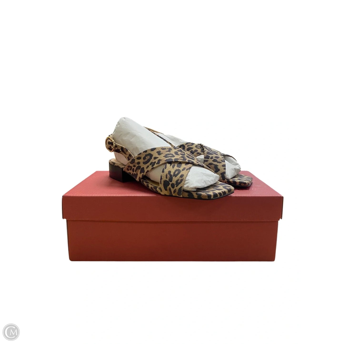 Shoes Heels Block By Maeve In Animal Print, Size: 6