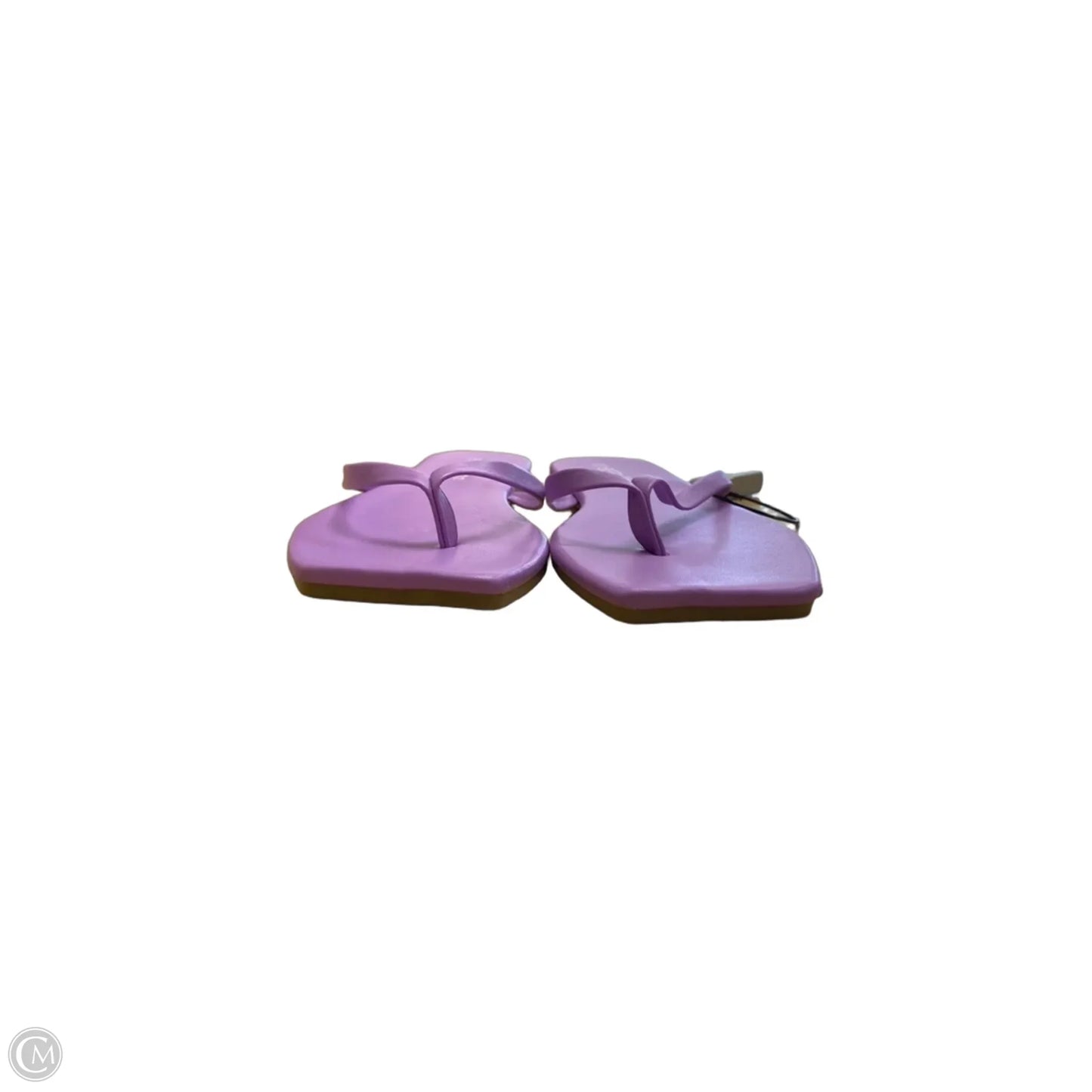 Sandals Flip Flops By Clothes Mentor In Purple, Size: 10