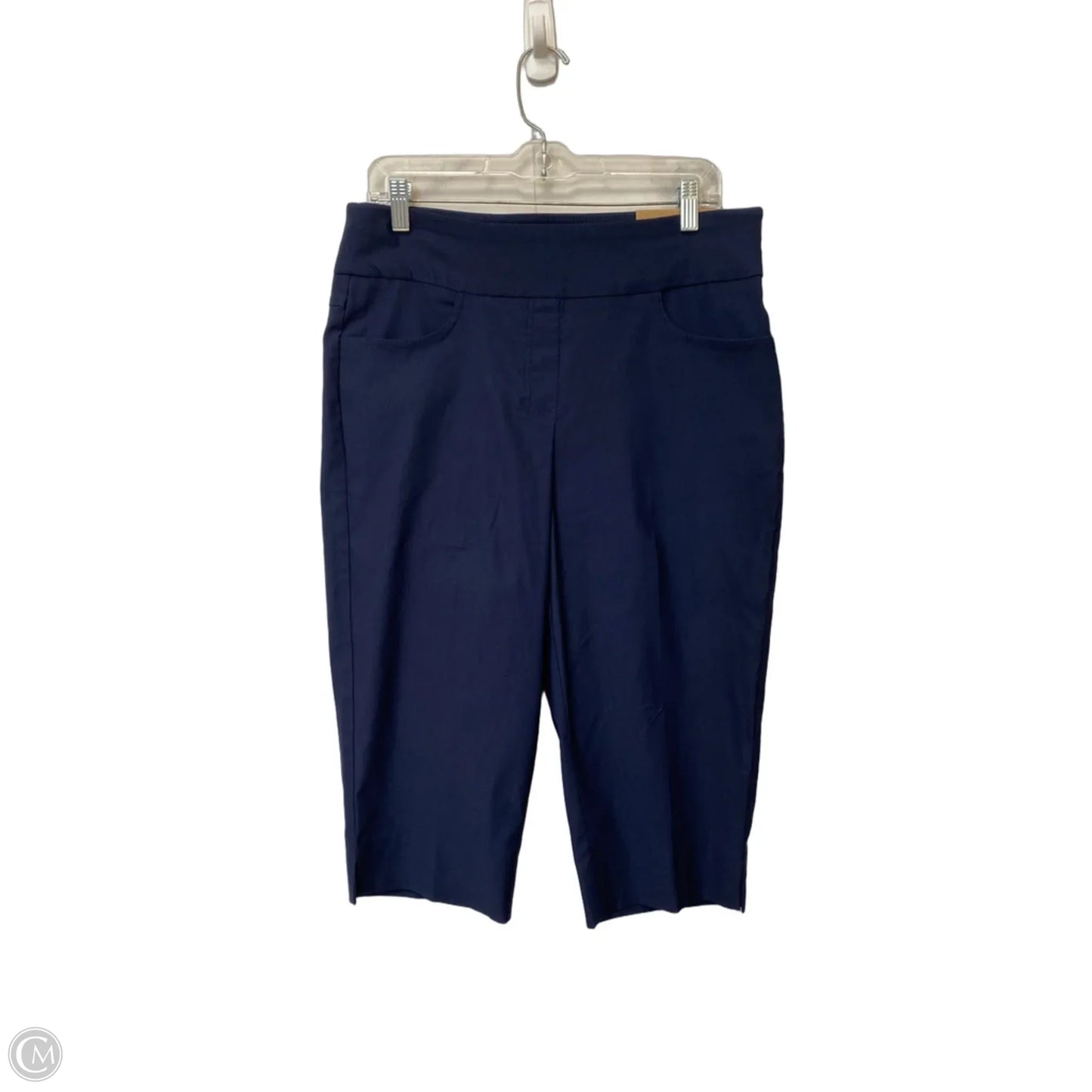 Pants Cropped By Ruby Rd In Blue, Size: 10