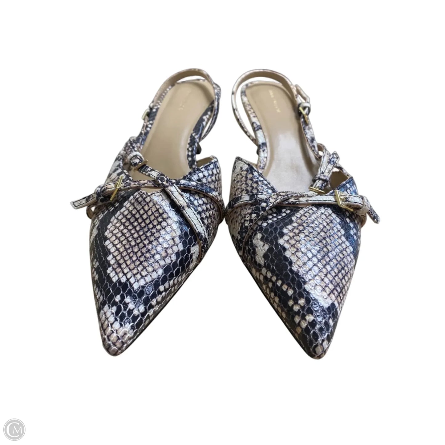 Shoes Heels Kitten By Ann Taylor In Animal Print, Size: 8
