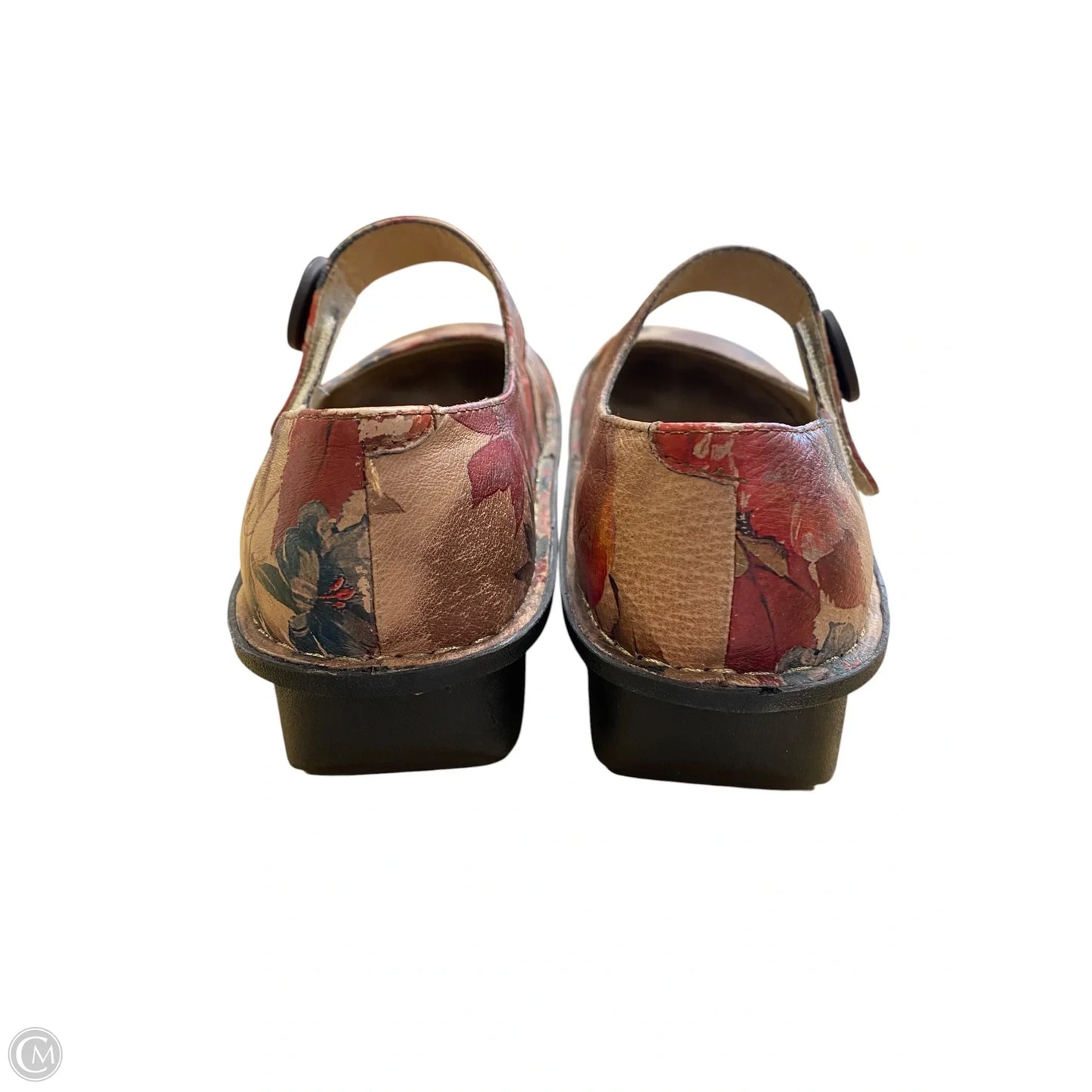 Shoes Flats By Alegria In Floral Print, Size: 8