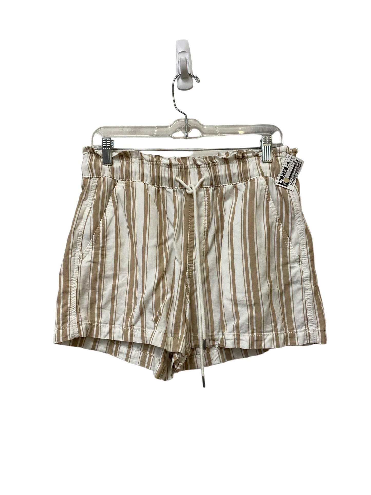 Shorts By Loft  Size: M