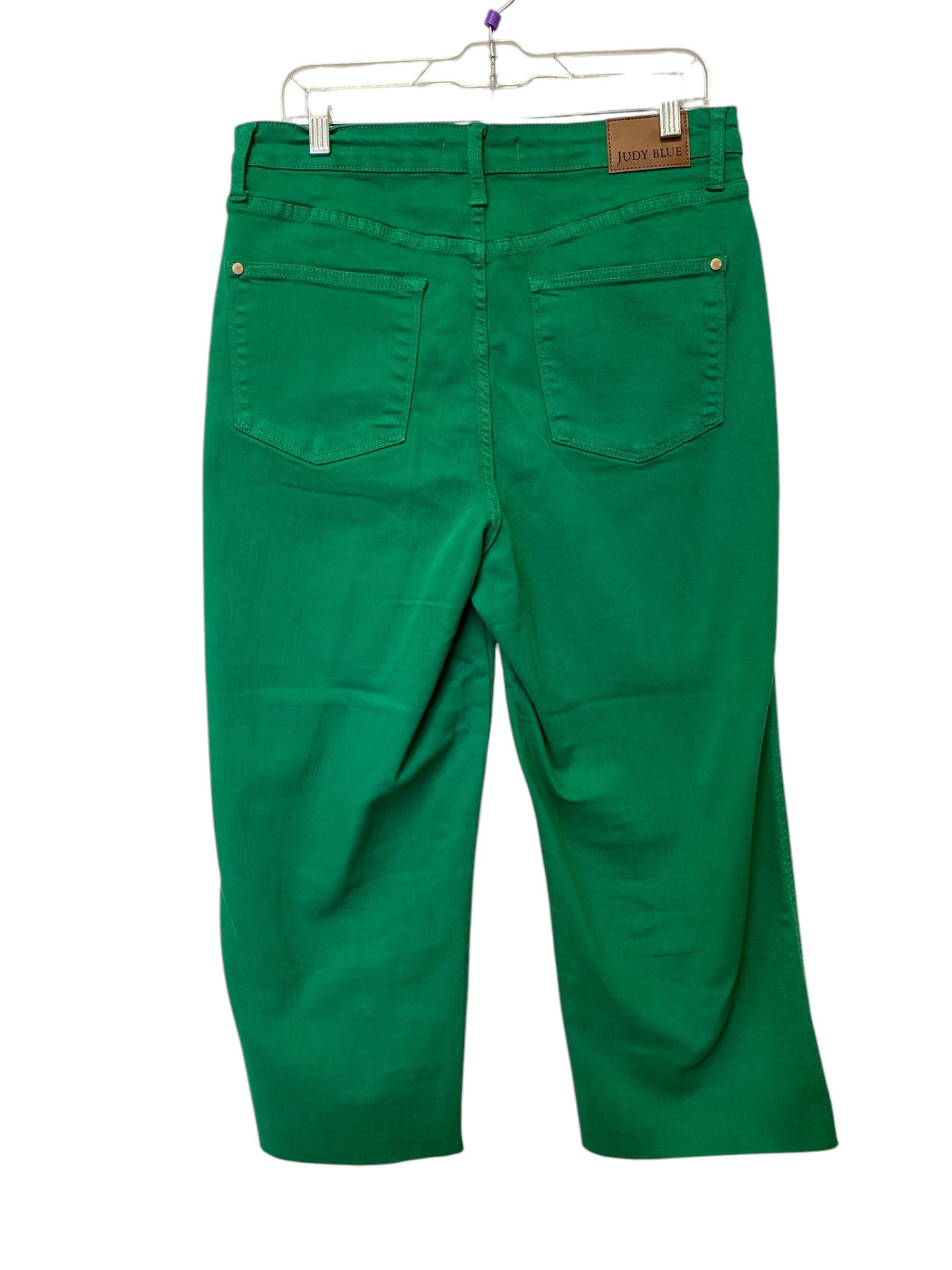 Pants Other By Judy Blue In Green, Size: 14