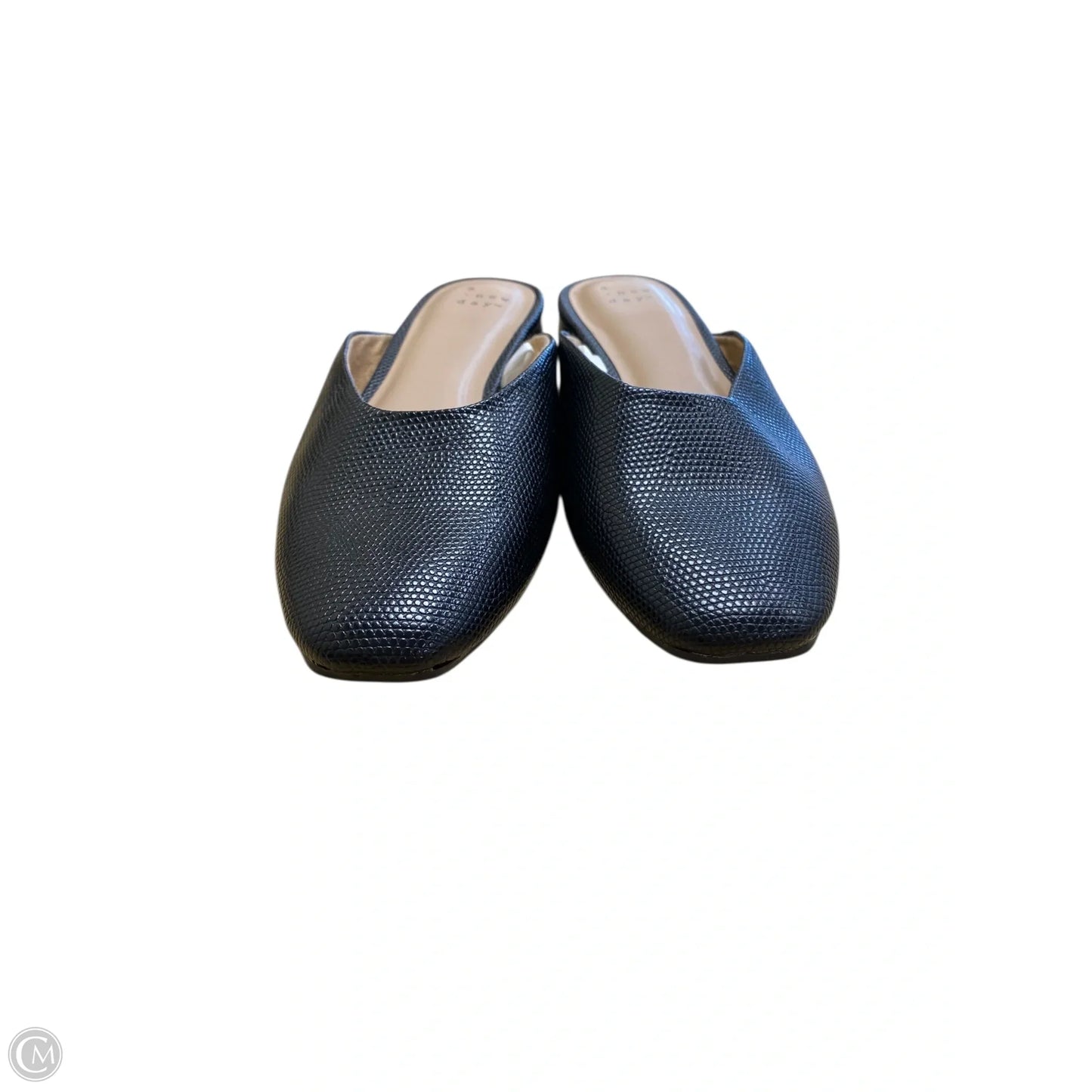 Shoes Flats By A Pea In The Pod In Black, Size: 6