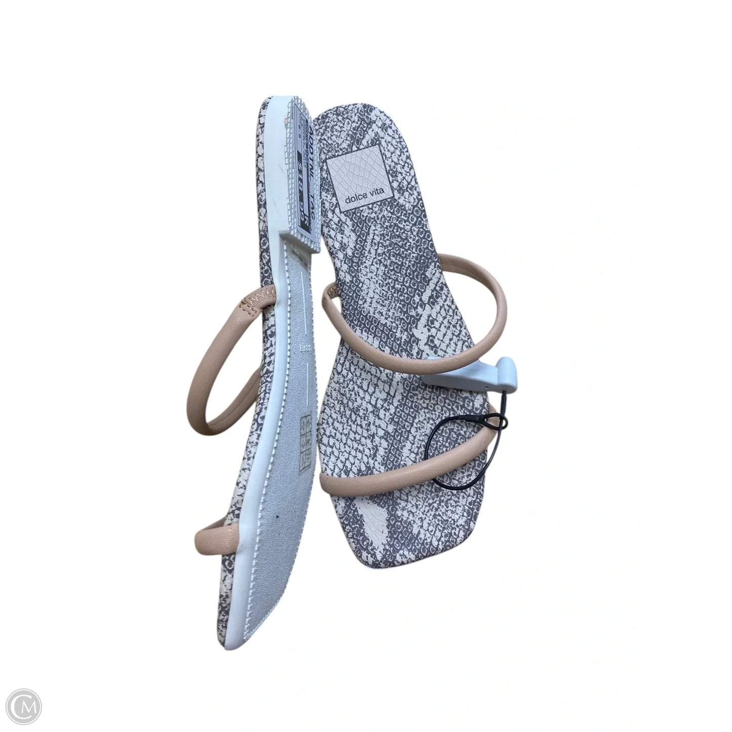 Sandals Flats By Dolce Vita In Snakeskin Print, Size: 6.5