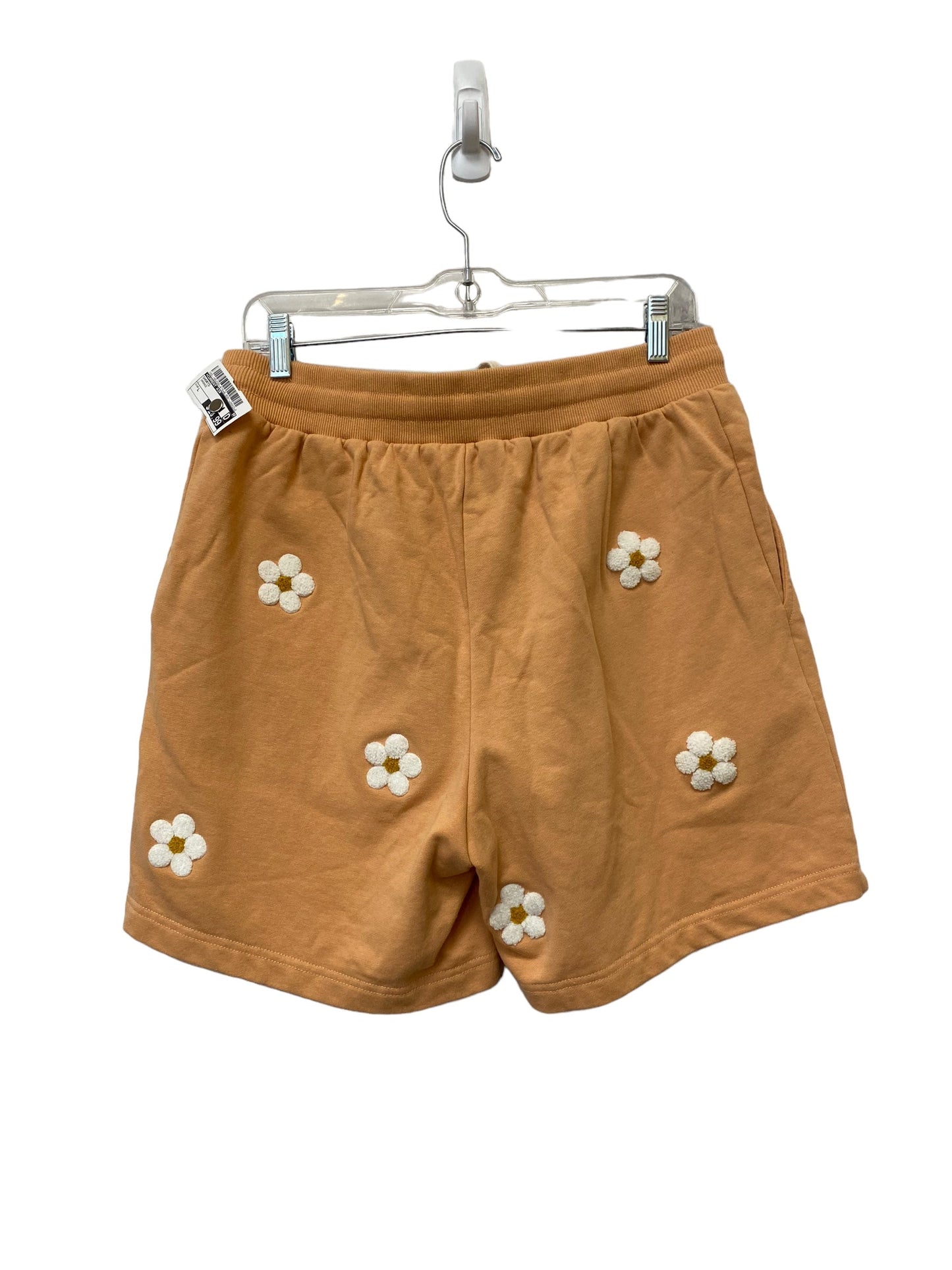 Shorts By Current Air  Size: L