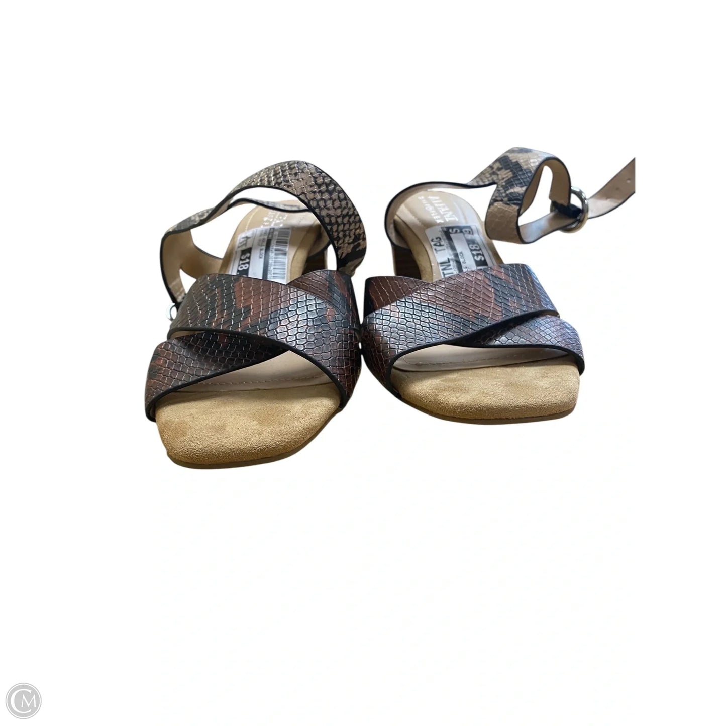 Shoes Heels Block By Alfani In Animal Print, Size: 7