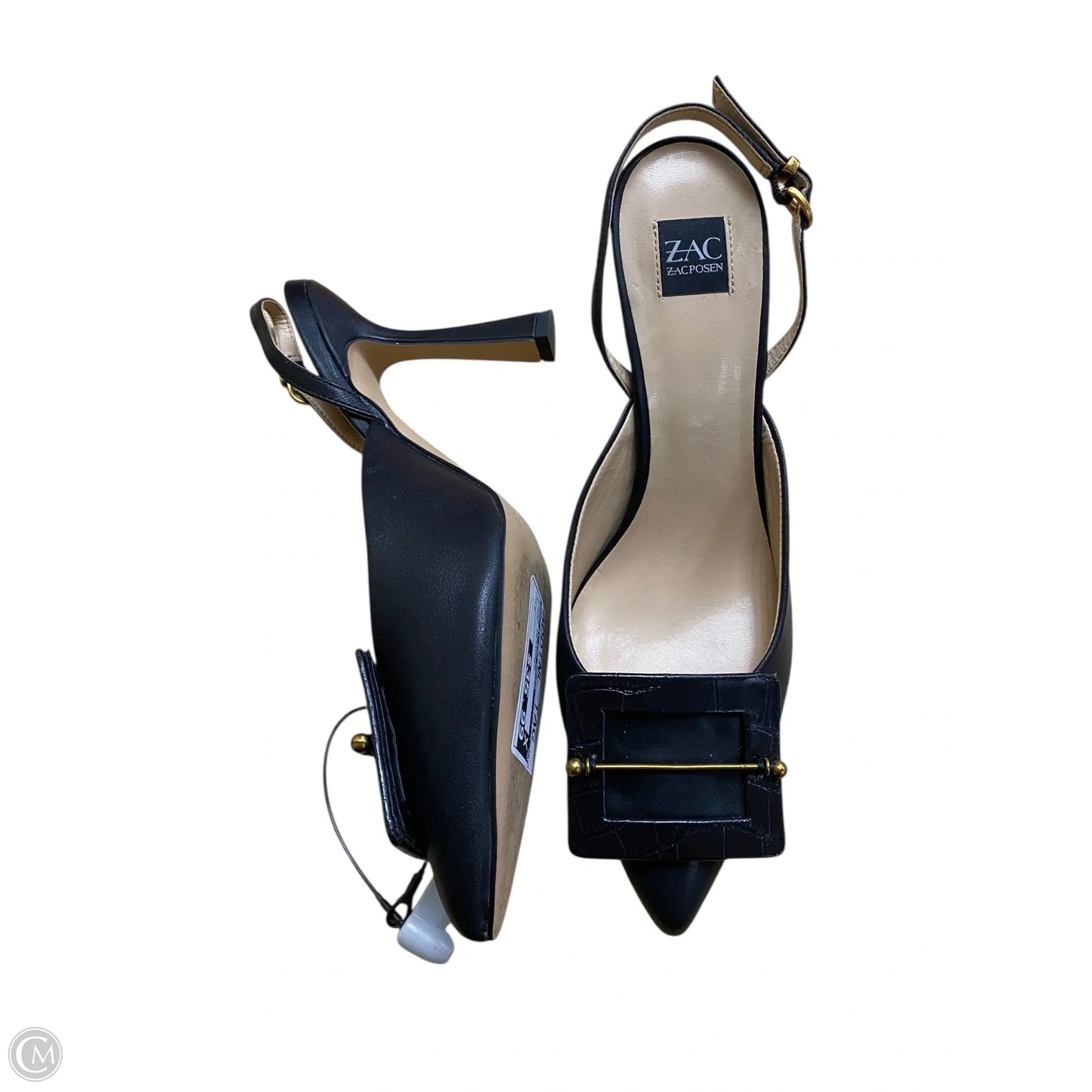 Shoes Designer By Zac By Zac Posen In Black, Size: 8