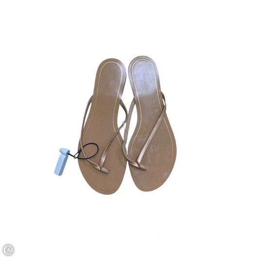 Sandals Flip Flops By Banana Republic In Brown, Size: 9