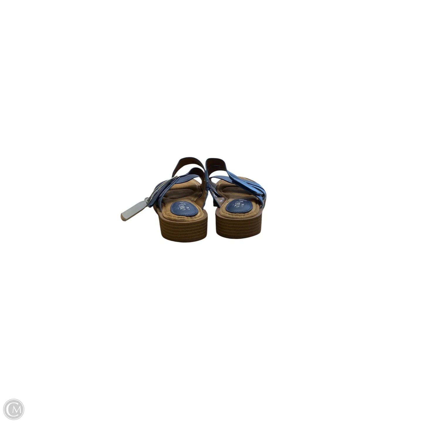 Sandals Flats By Sofft In Blue, Size: 6