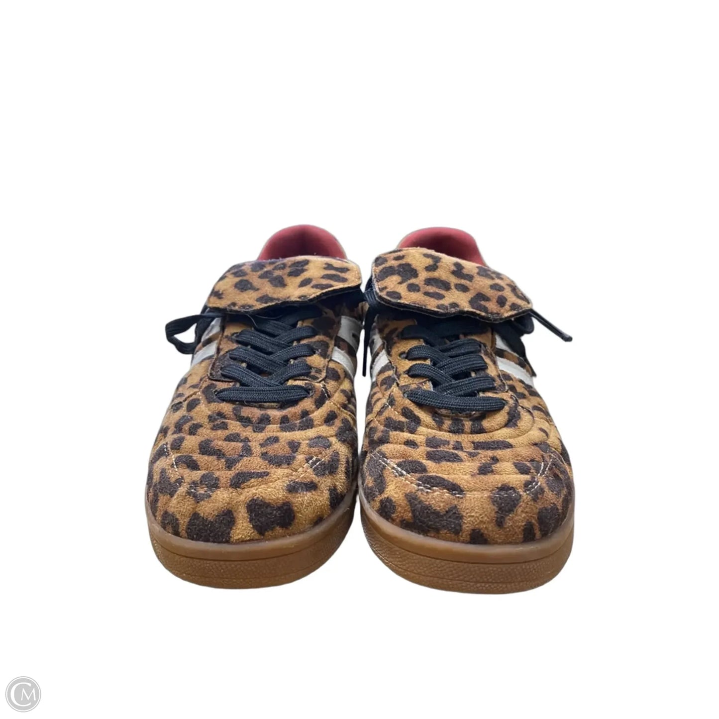 Shoes Sneakers By Steve Madden In Leopard Print, Size: 7