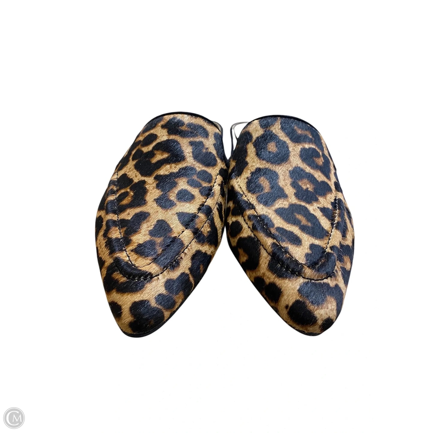 Shoes Flats By Franco Sarto In Animal Print, Size: 6.5