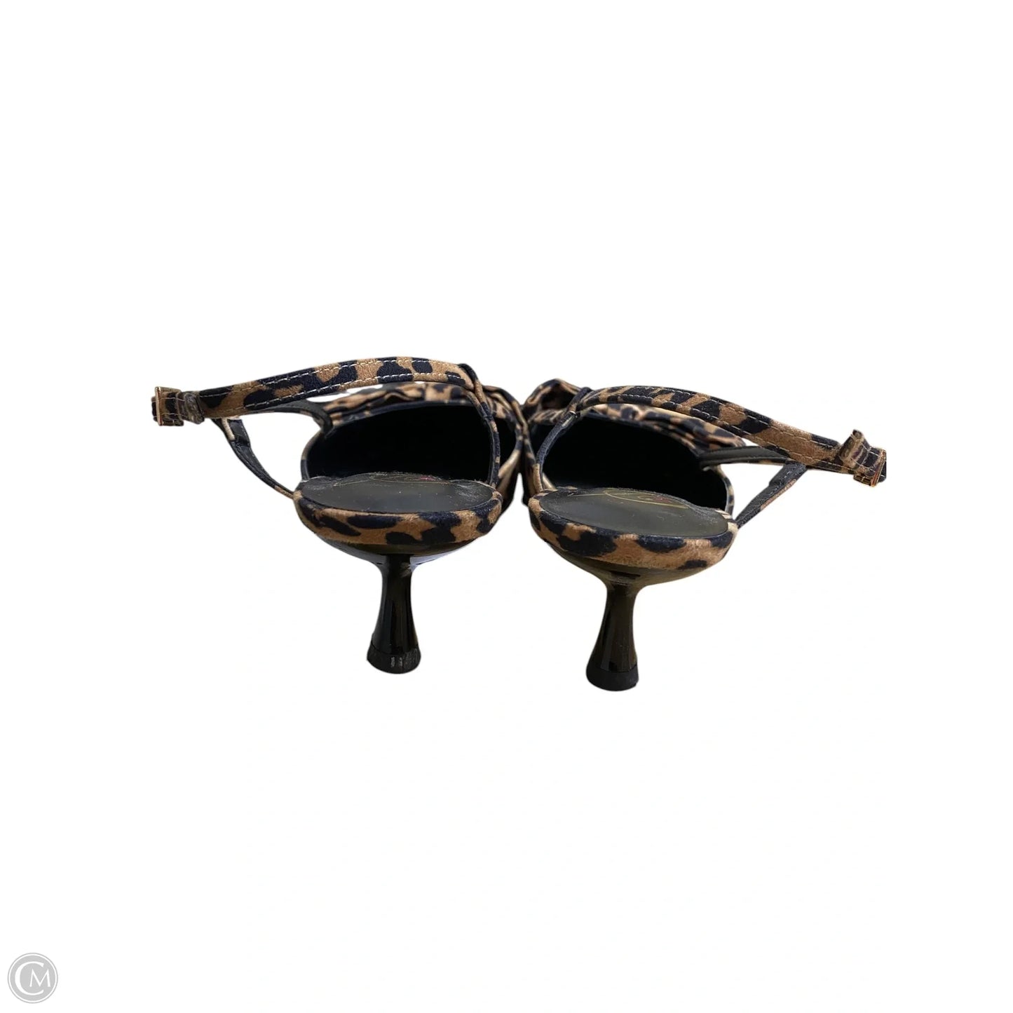 Shoes Heels Kitten By Clothes Mentor In Animal Print, Size: 9