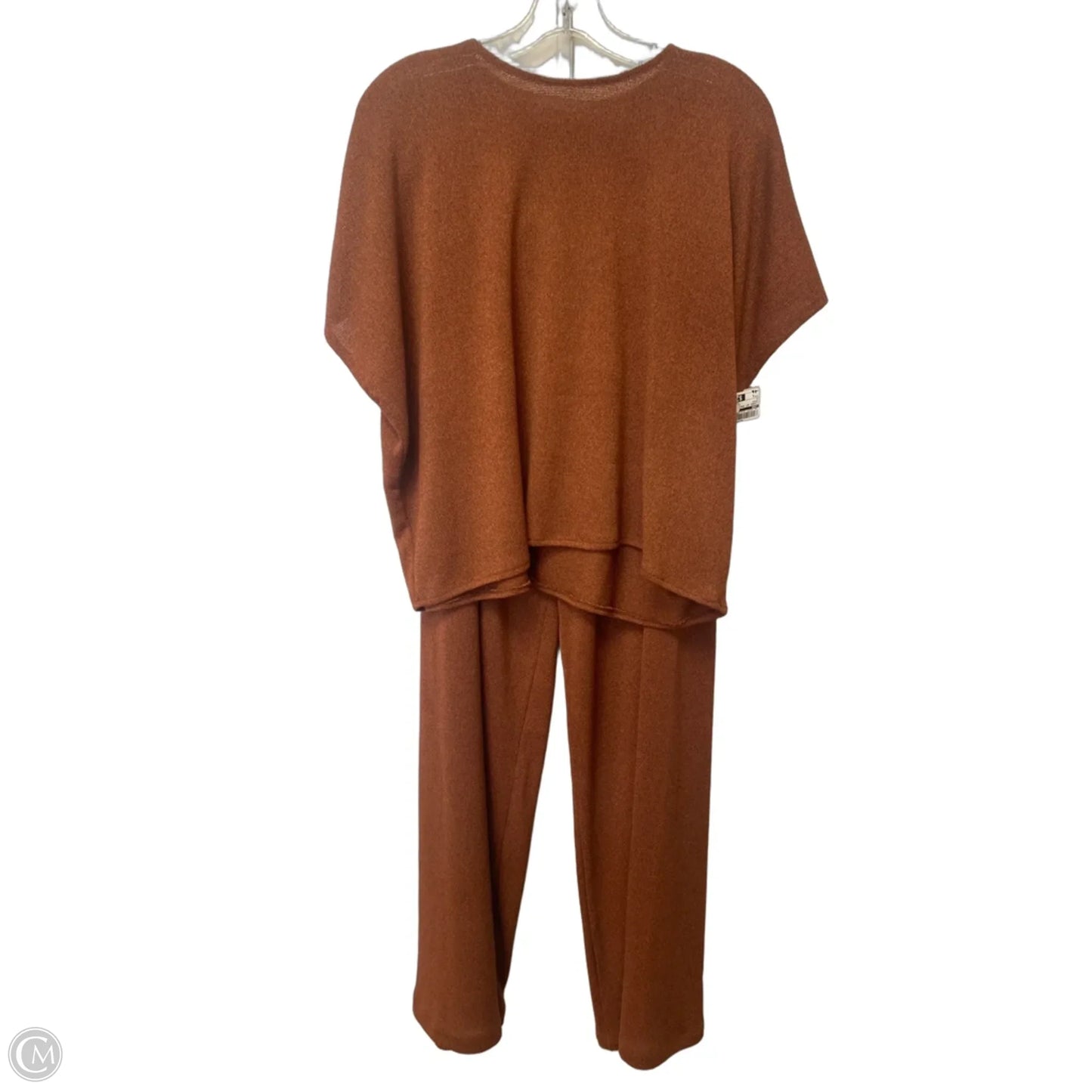 Lounge Set Pants By Zara In Brown, Size: S