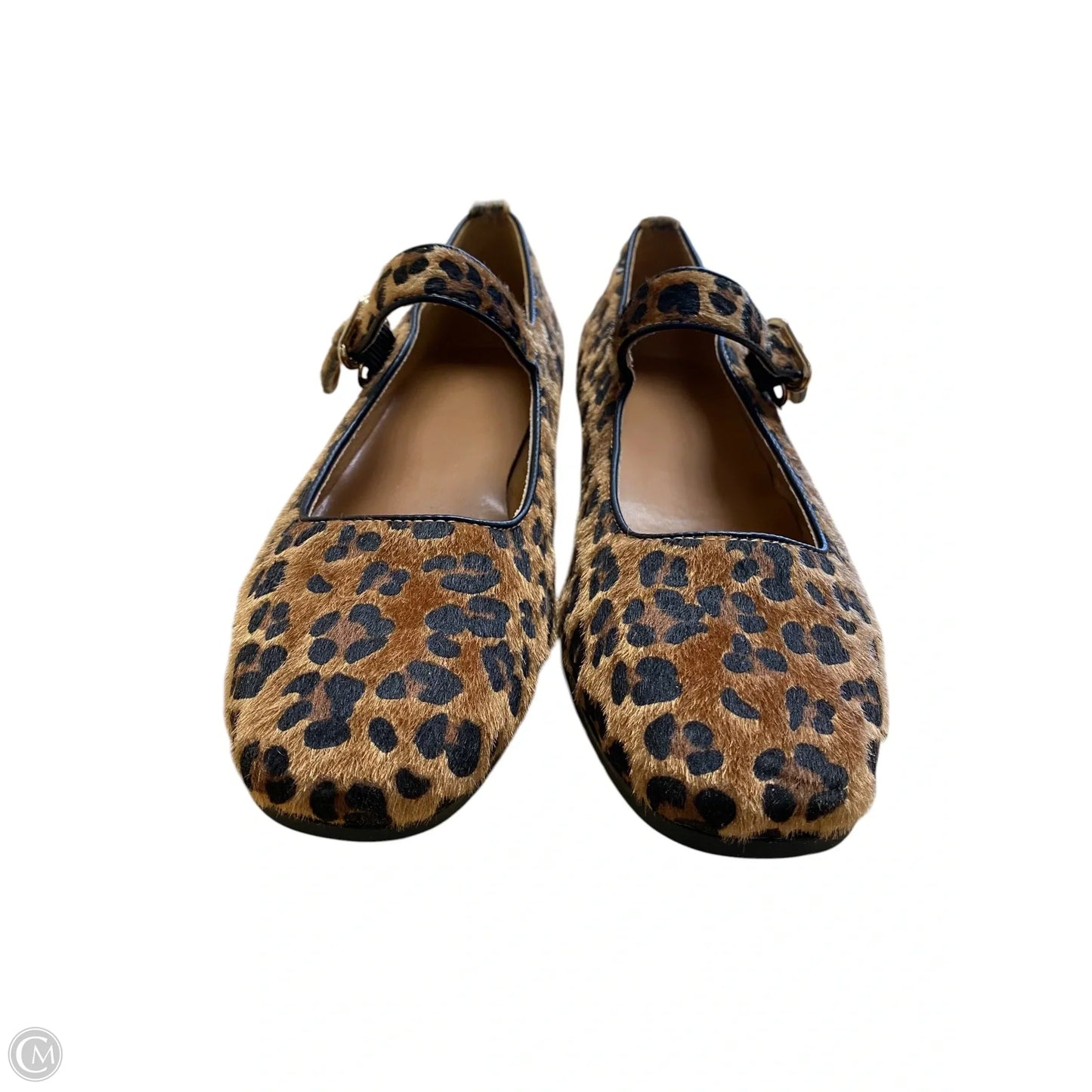 Shoes Flats By Clothes Mentor In Animal Print, Size: 8