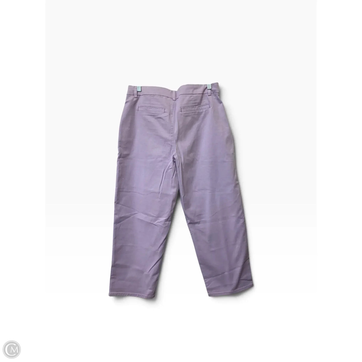 Pants Other By Chicos In Purple, Size: 10