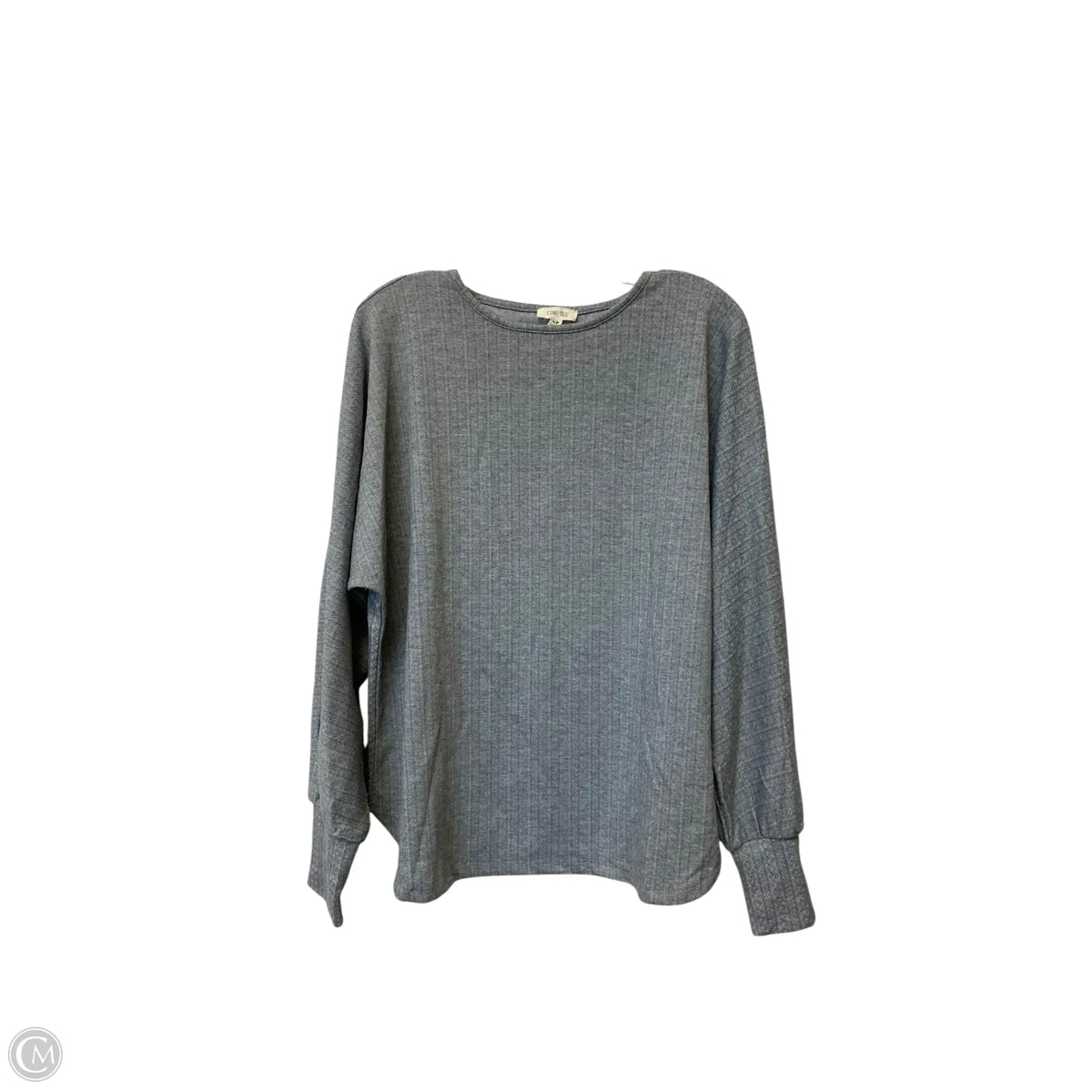 Top Long Sleeve By Como Blu In Grey, Size: Sp