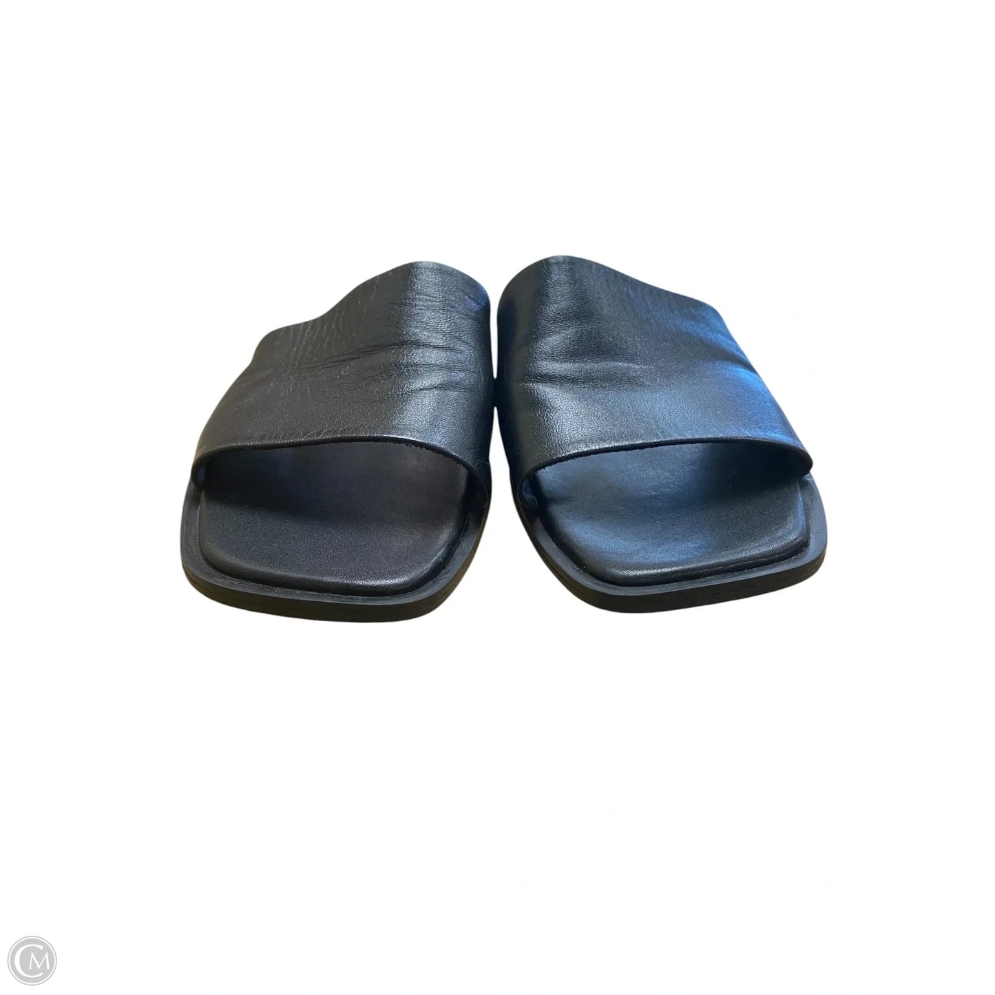 Shoes Flats By Steve Madden In Black, Size: 9.5