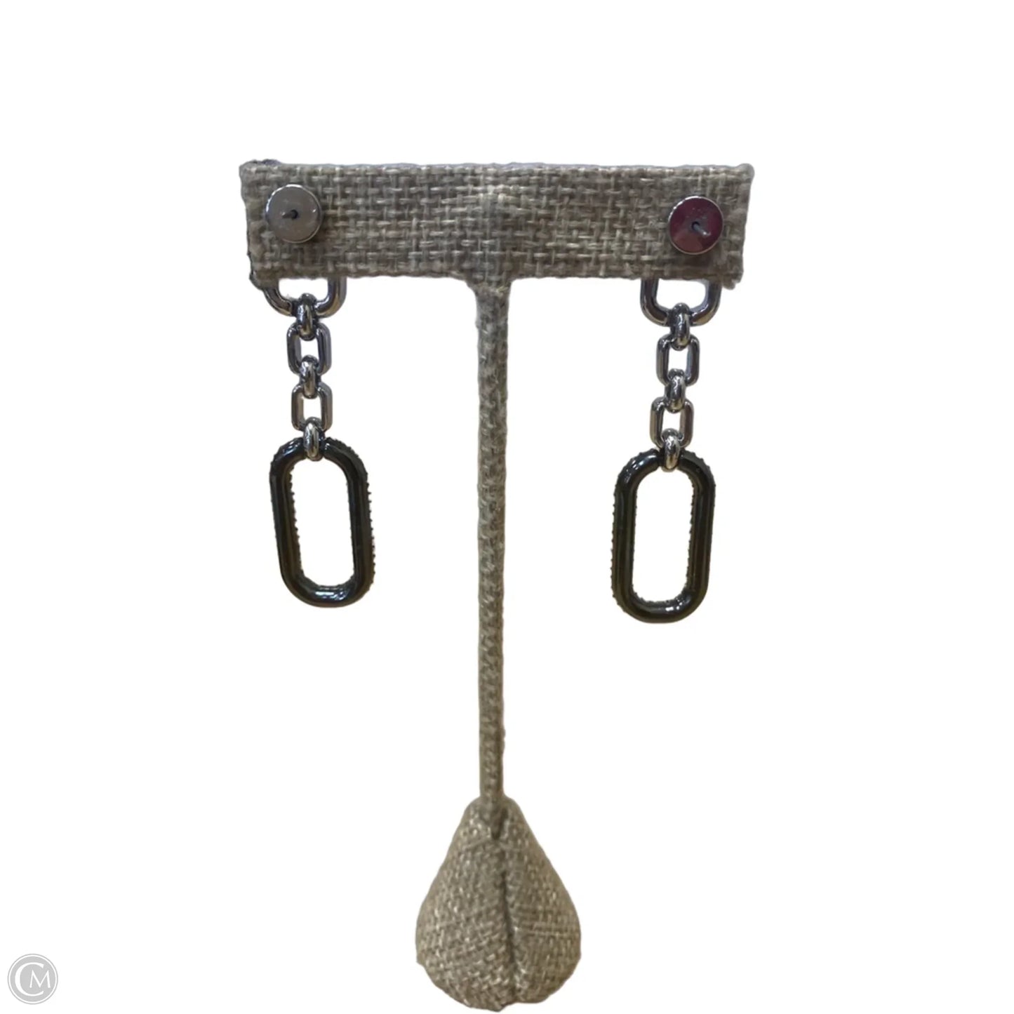 Earrings Dangle/drop By Chicos