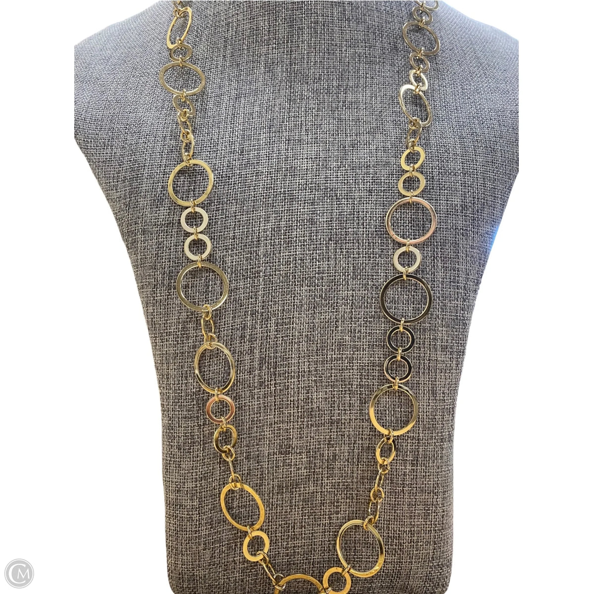 Necklace Chain By Chicos
