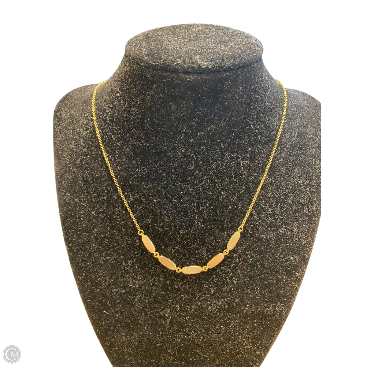 Necklace Chain By Kendra Scott