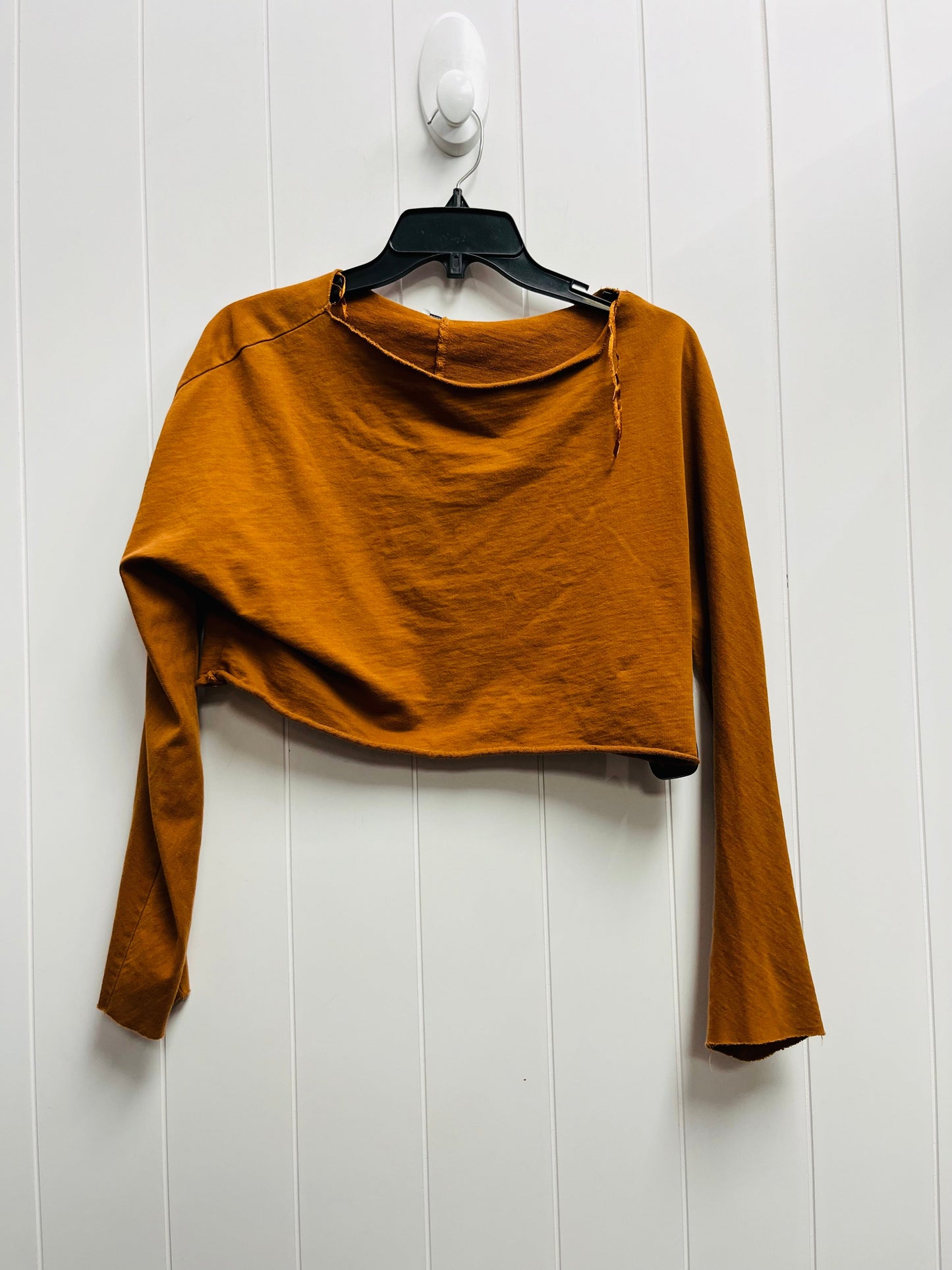 Top Long Sleeve By Zara In Tan, Size: S