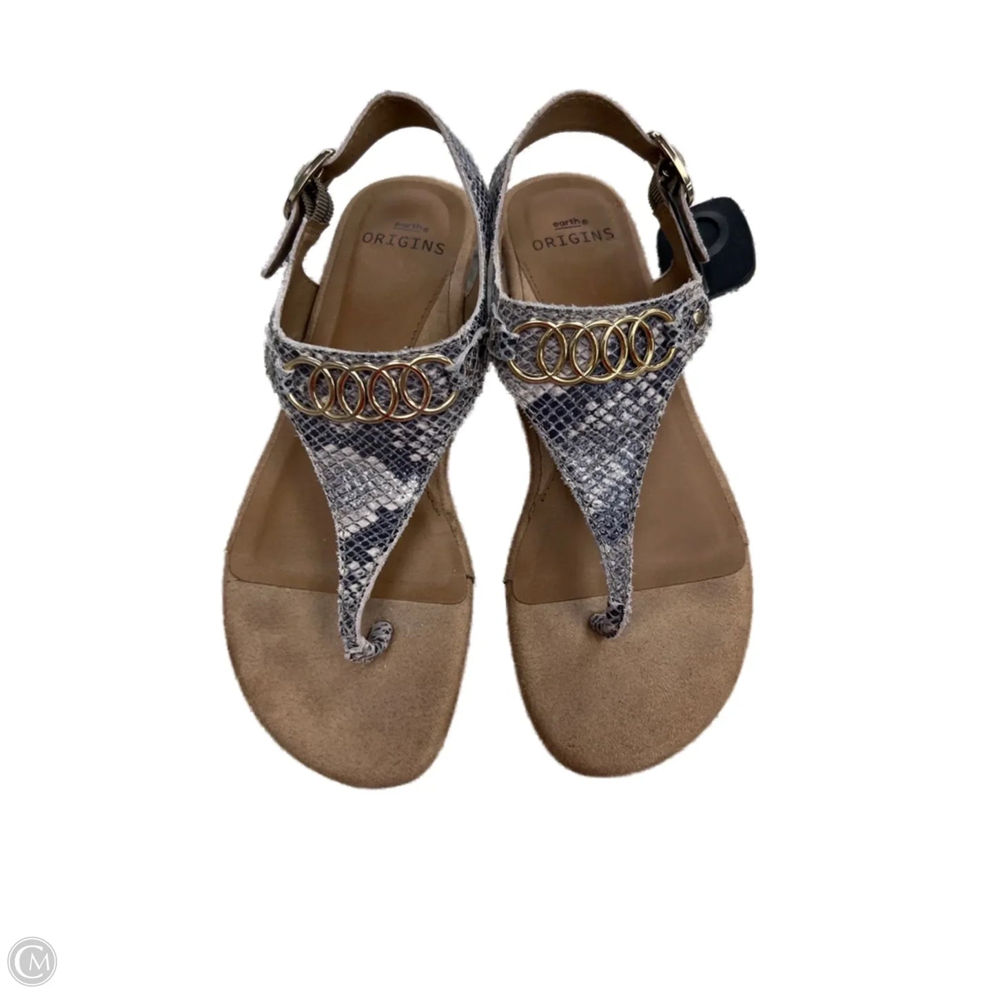 Sandals Flip Flops By Earth In Snakeskin Print, Size: 7.5