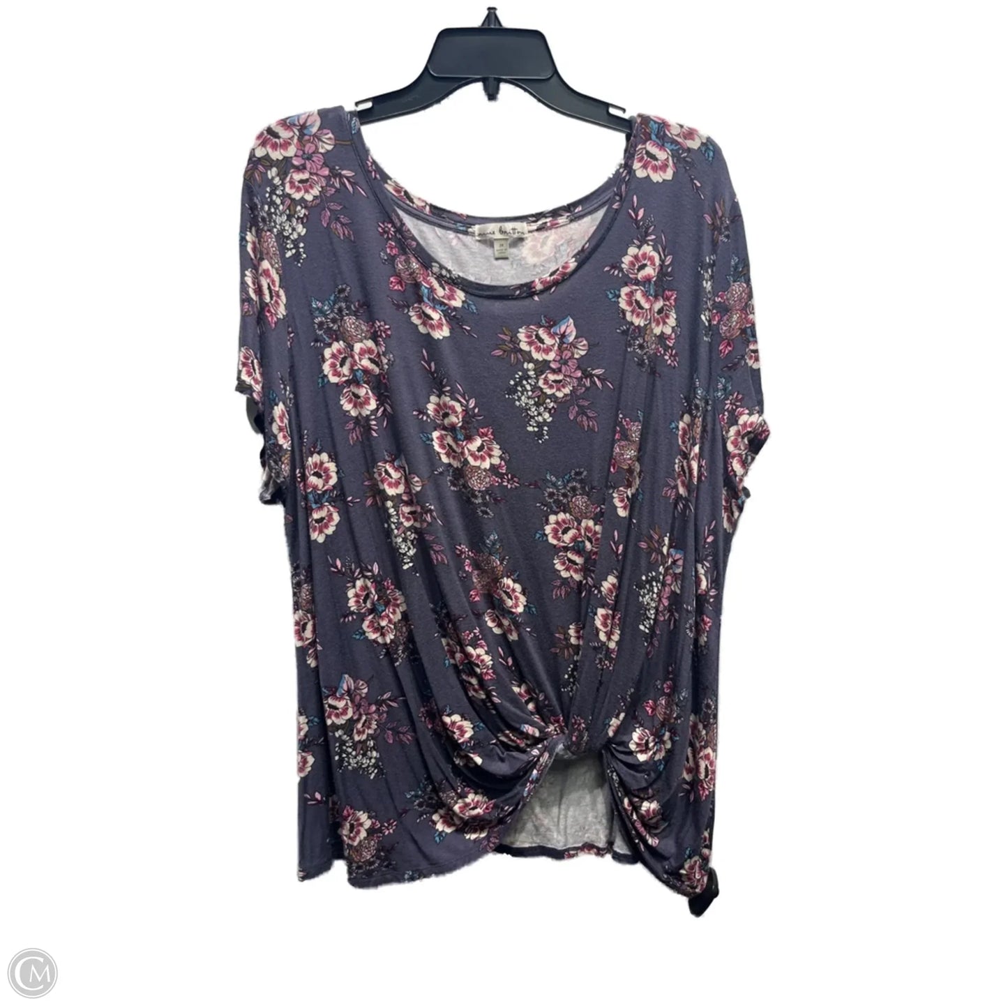 Top Short Sleeve By nine britton In Blue & Pink, Size: 3x