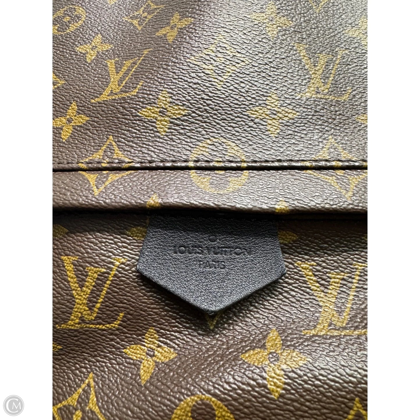 Backpack Luxury Designer By Louis Vuitton, Size: Large