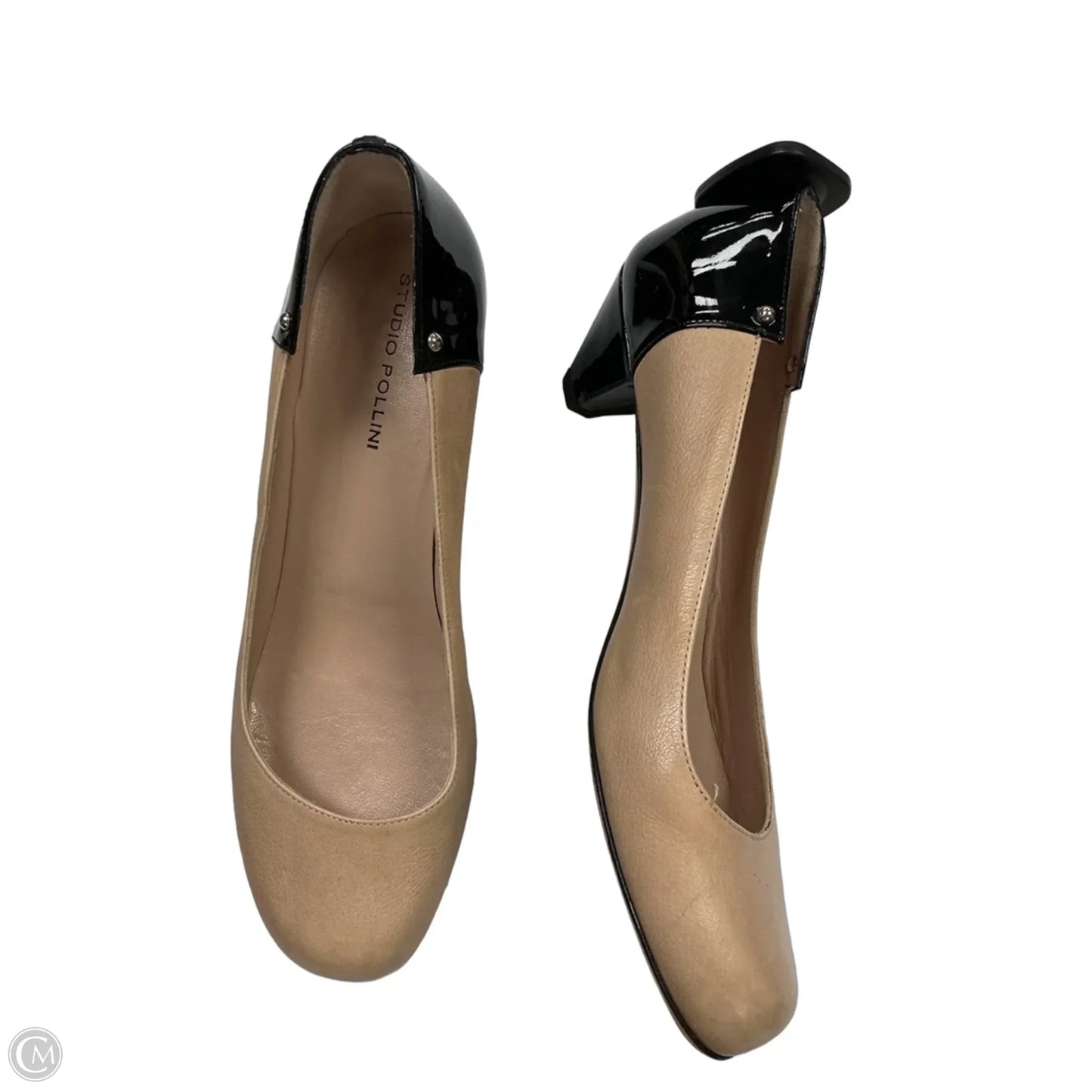 Shoes Heels Kitten By studio pollini In Black & Cream, Size: 9